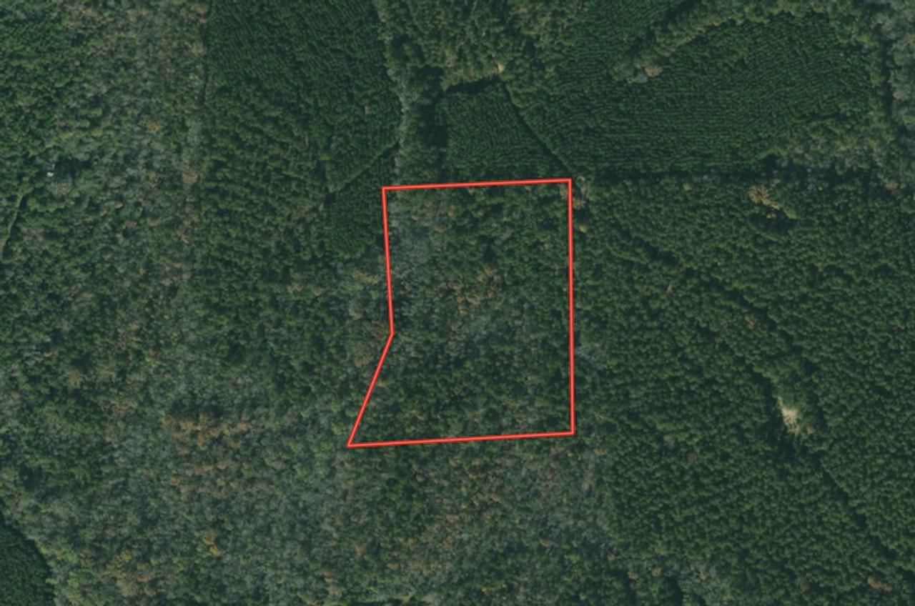 Goldston, Chatham County, NC Recreational Property, Timberland Property