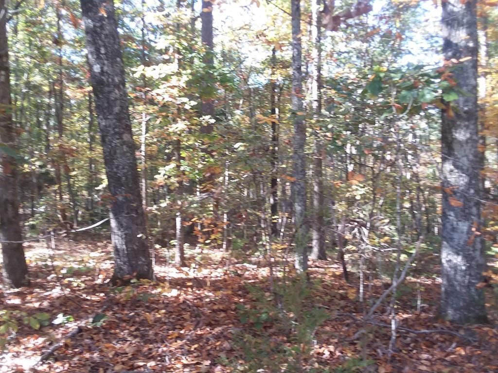 Keysville, Prince Edward County, VA Recreational Property, Undeveloped Land, Homesites for sale