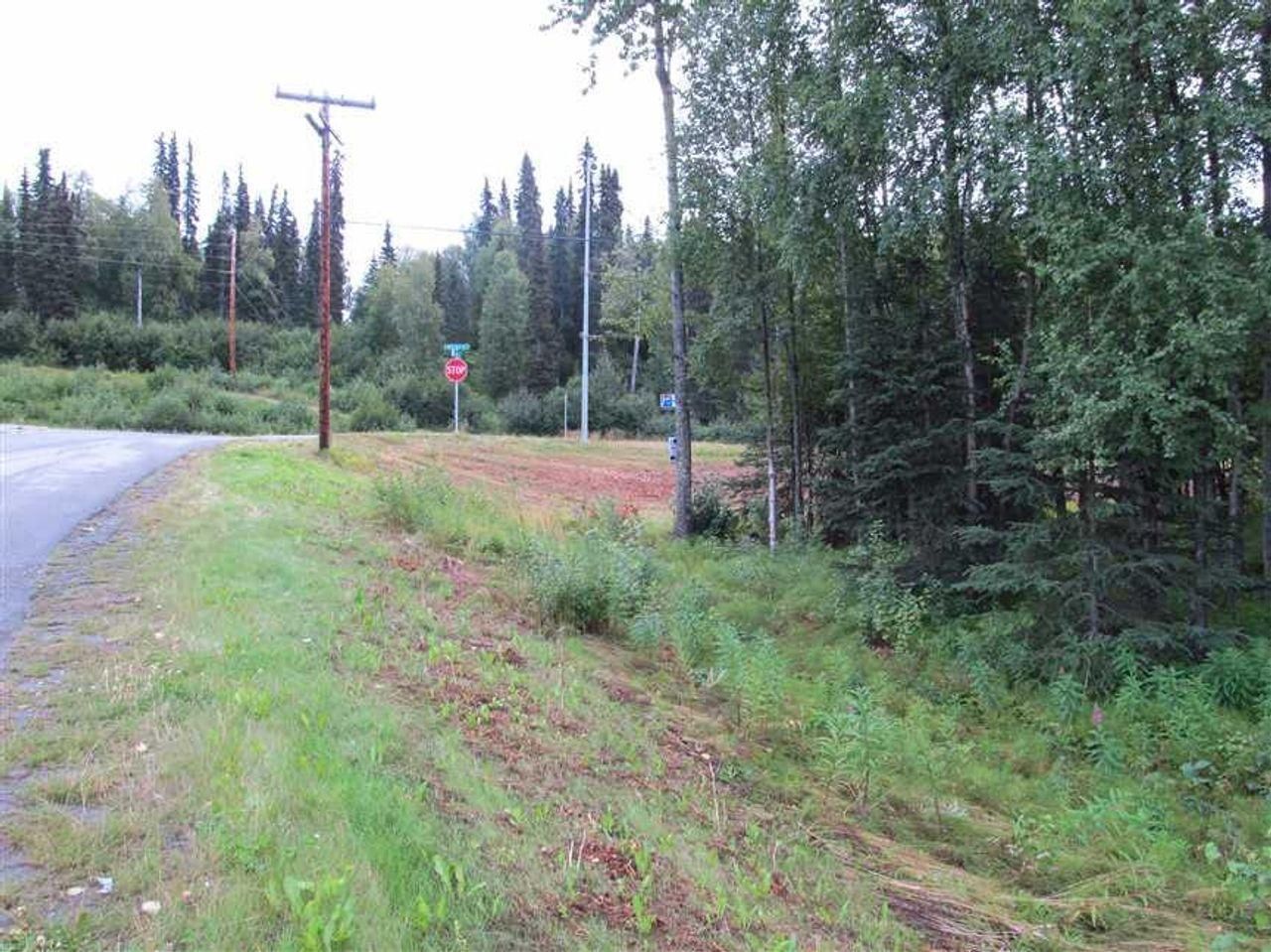 Soldotna, Kenai Peninsula Borough, AK Recreational Property, House for