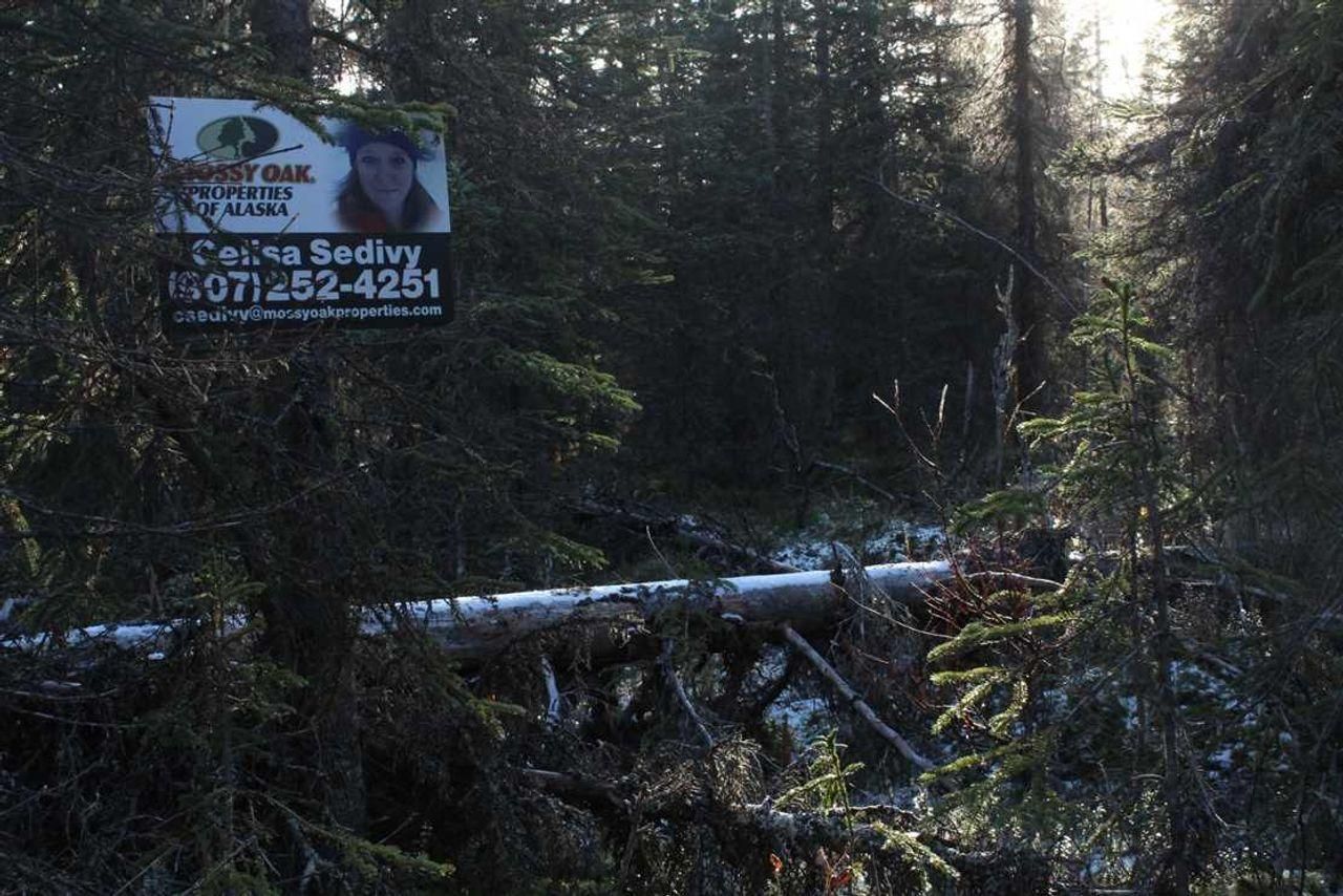 Kasilof, Kenai Peninsula Borough, AK Recreational Property, House for