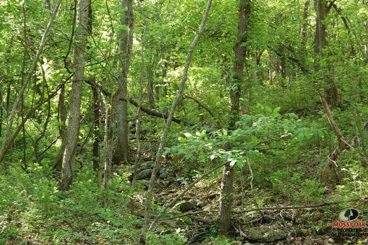 Neodesha, Wilson County, KS Recreational Property, Timberland Property