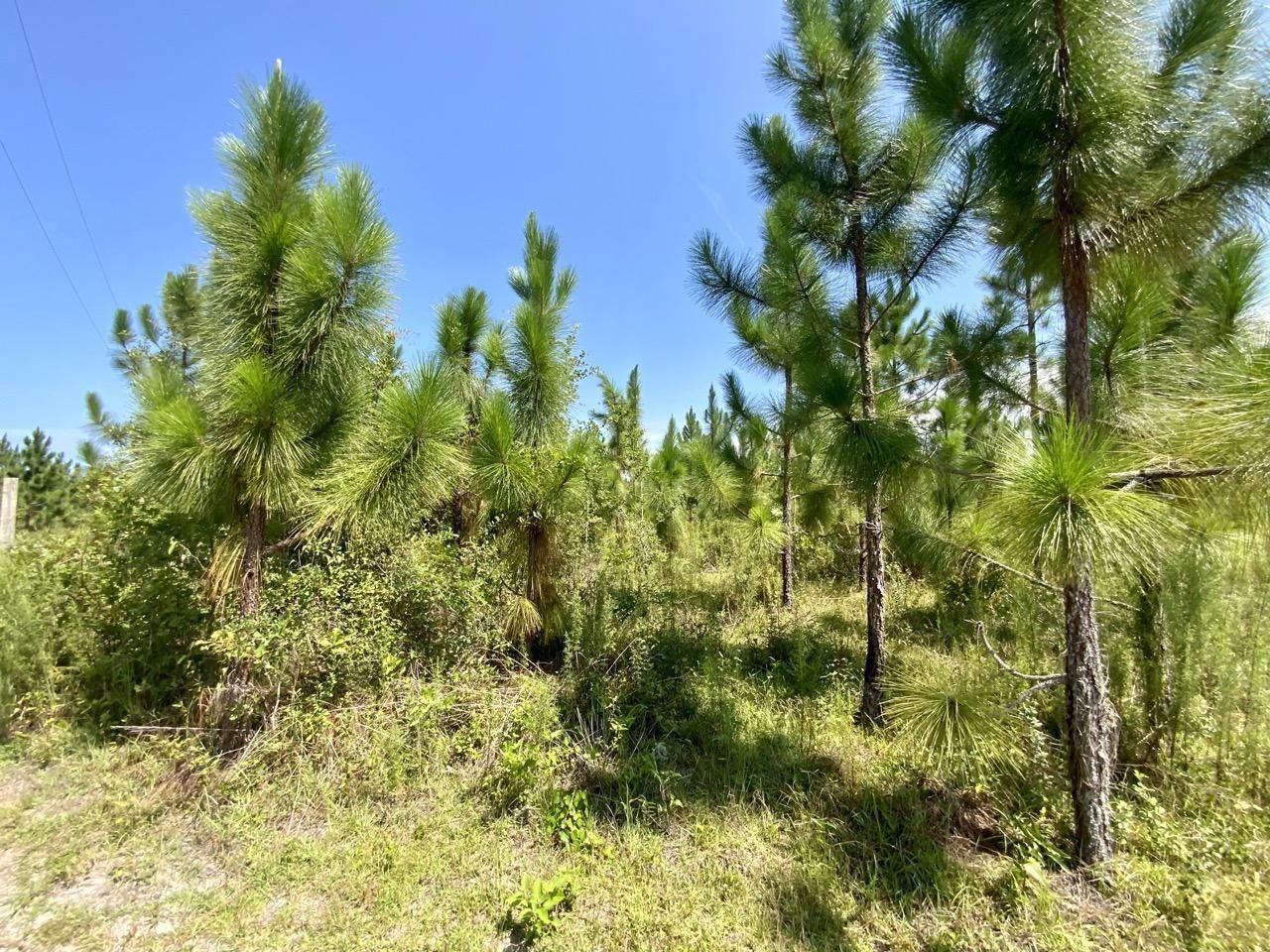 Madison County, FL Recreational Property, House for sale