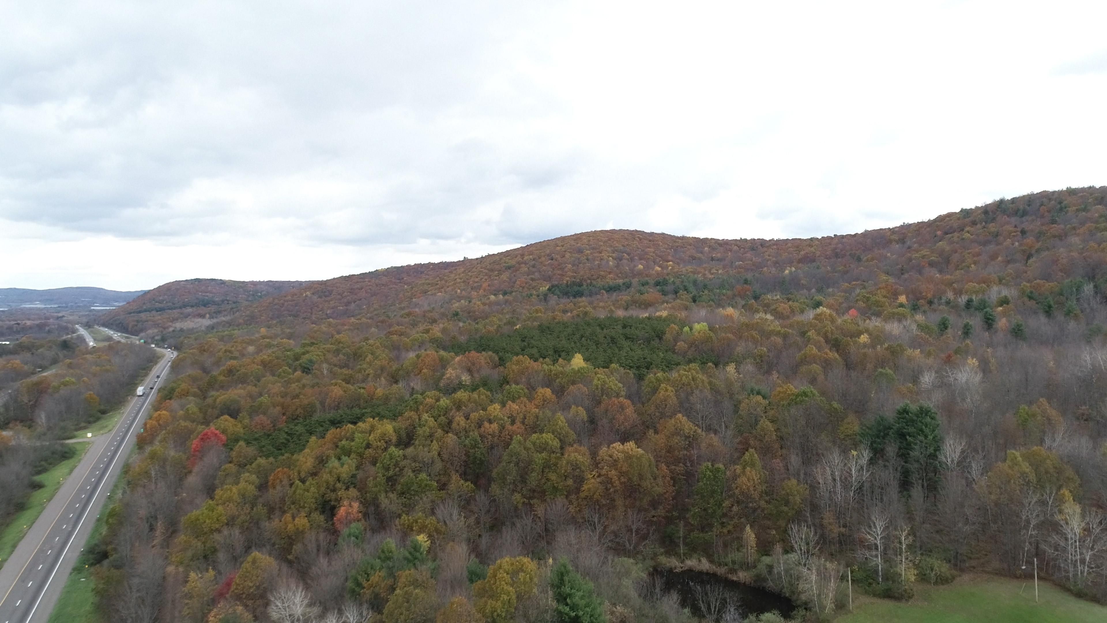 Kirkwood, Broome County, NY Recreational Property, Undeveloped Land