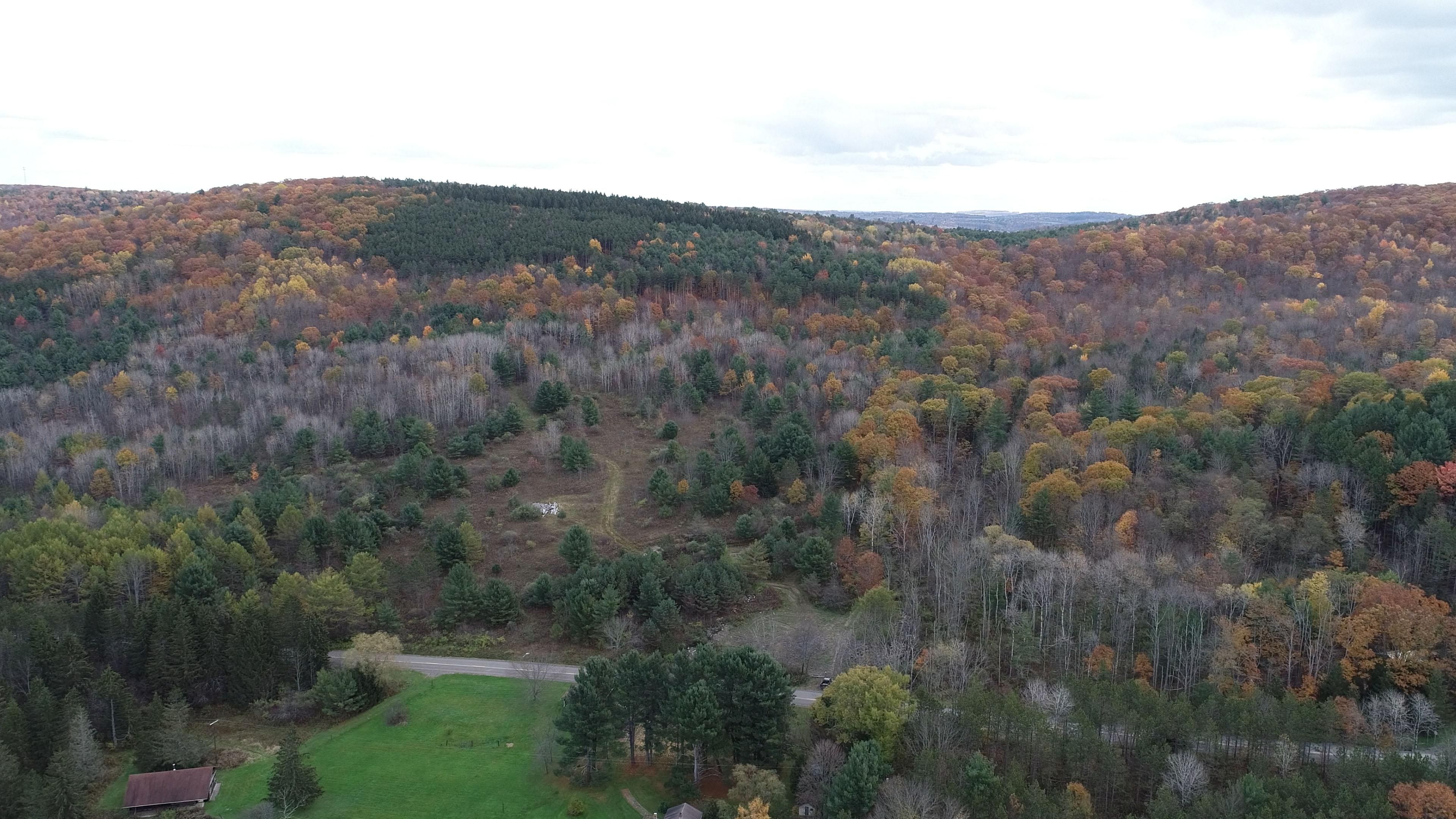 Spencer, Tioga County, NY Recreational Property, Undeveloped Land for