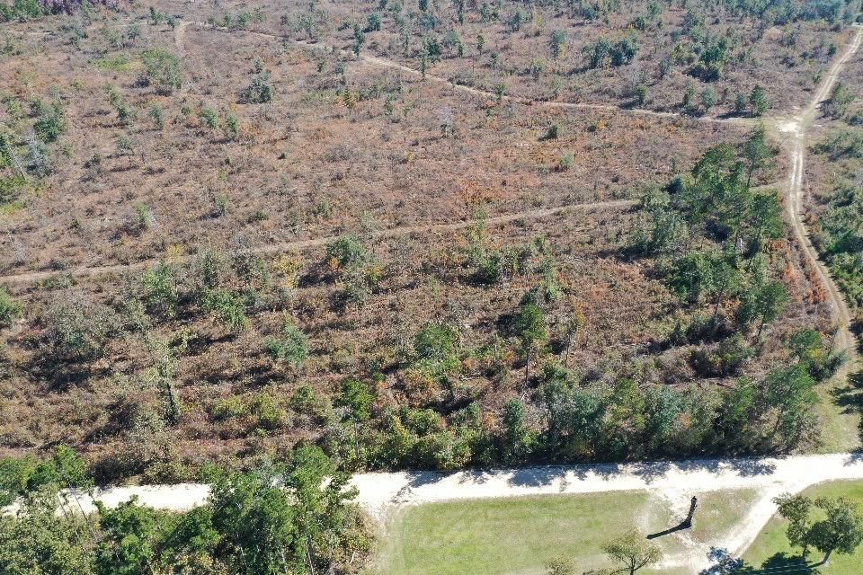 Sneads, Jackson County, FL Recreational Property, Hunting Property for