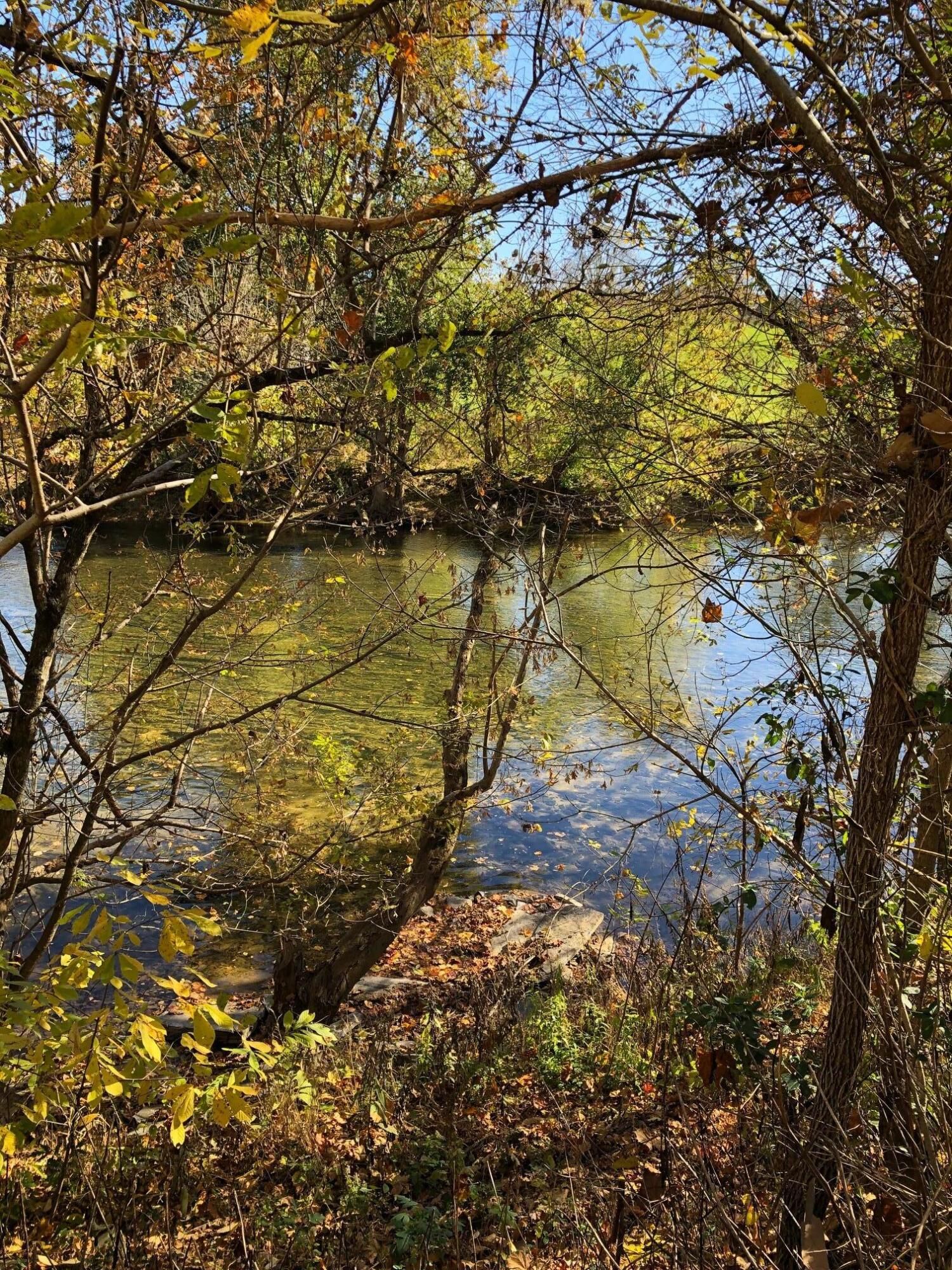 Hiltons, Scott County, VA Undeveloped Land, Homesites for sale Property