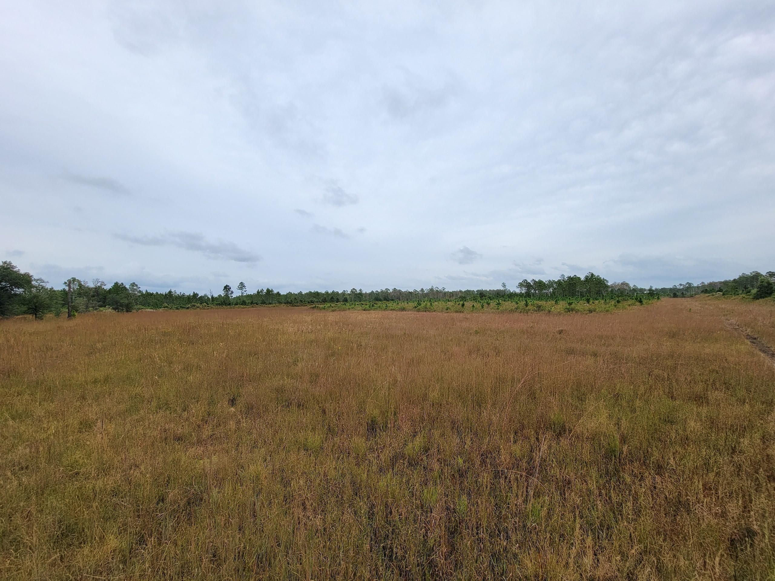 New Smyrna Beach, Volusia County, FL Recreational Property, Undeveloped
