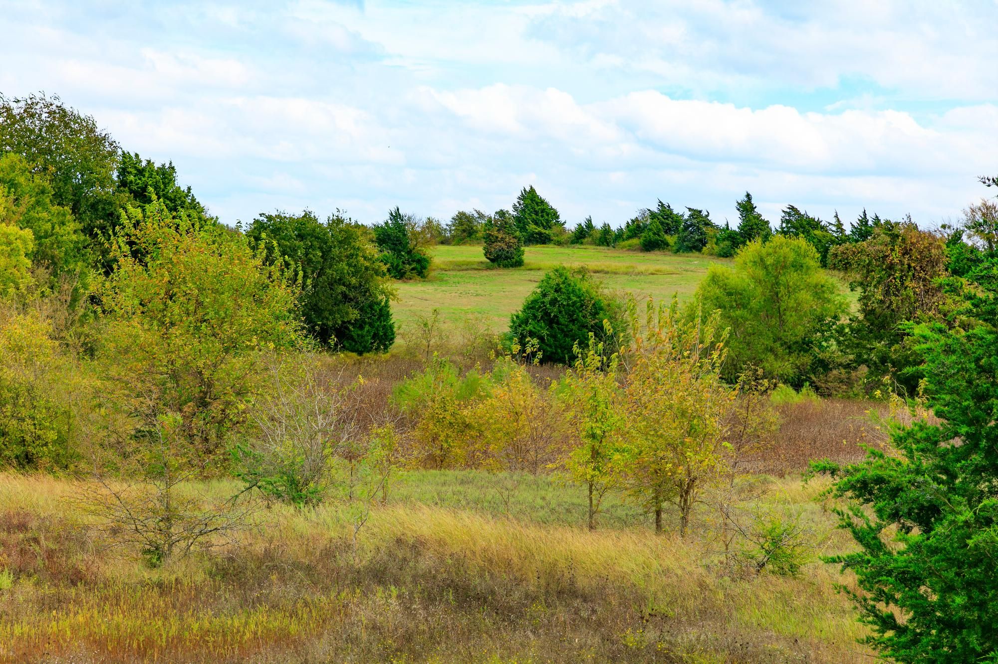 Red Oak, Ellis County, TX Farms and Ranches, Recreational Property, Commercial Property for sale