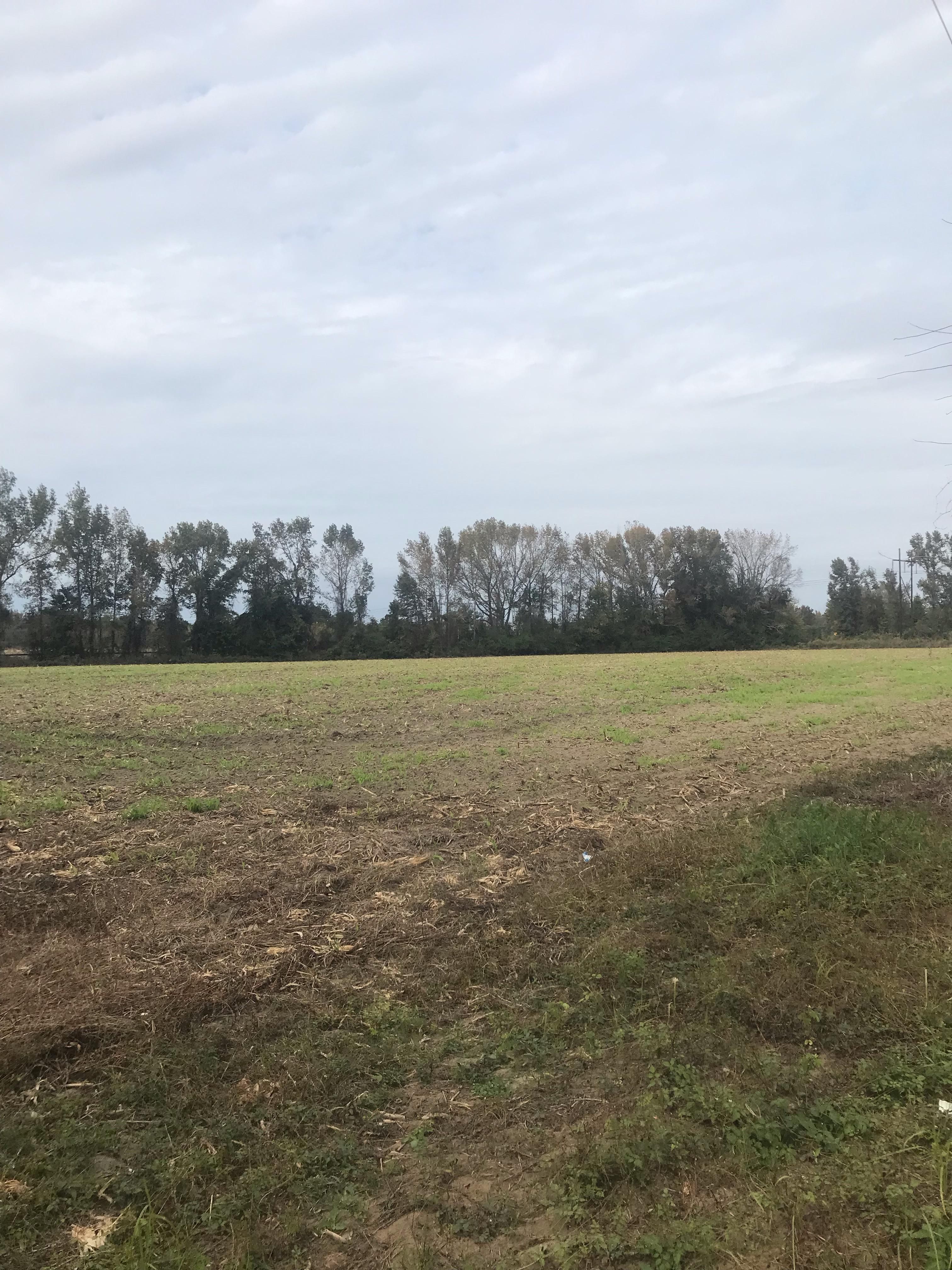 15 acres in Kingstree, SC, 29556 LandWatch