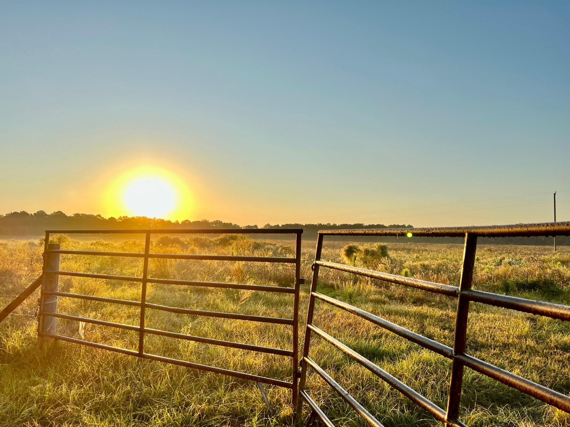 Madison, Madison County, FL Farms and Ranches, Recreational Property