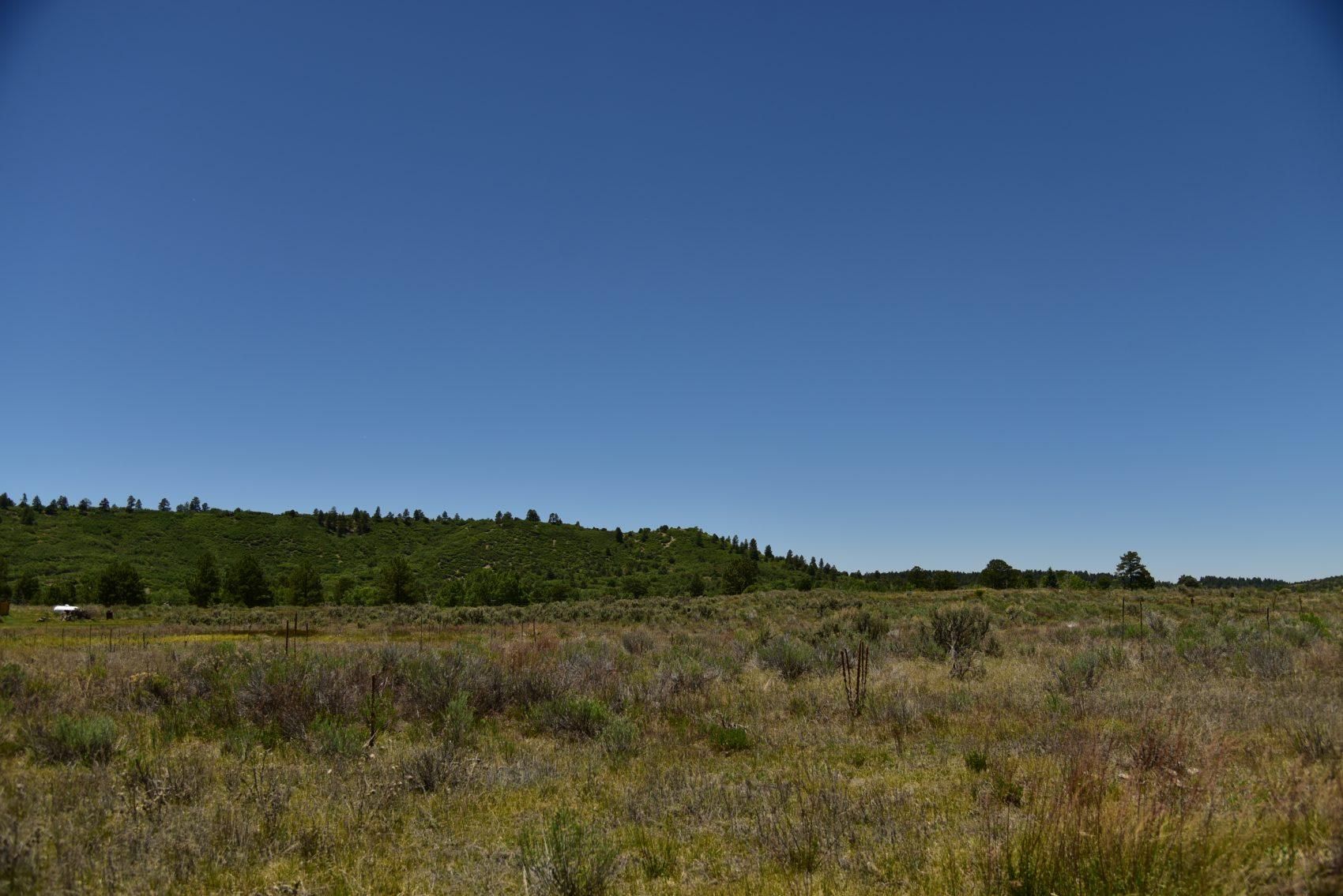 Chama, Rio Arriba County, NM Recreational Property, Hunting Property