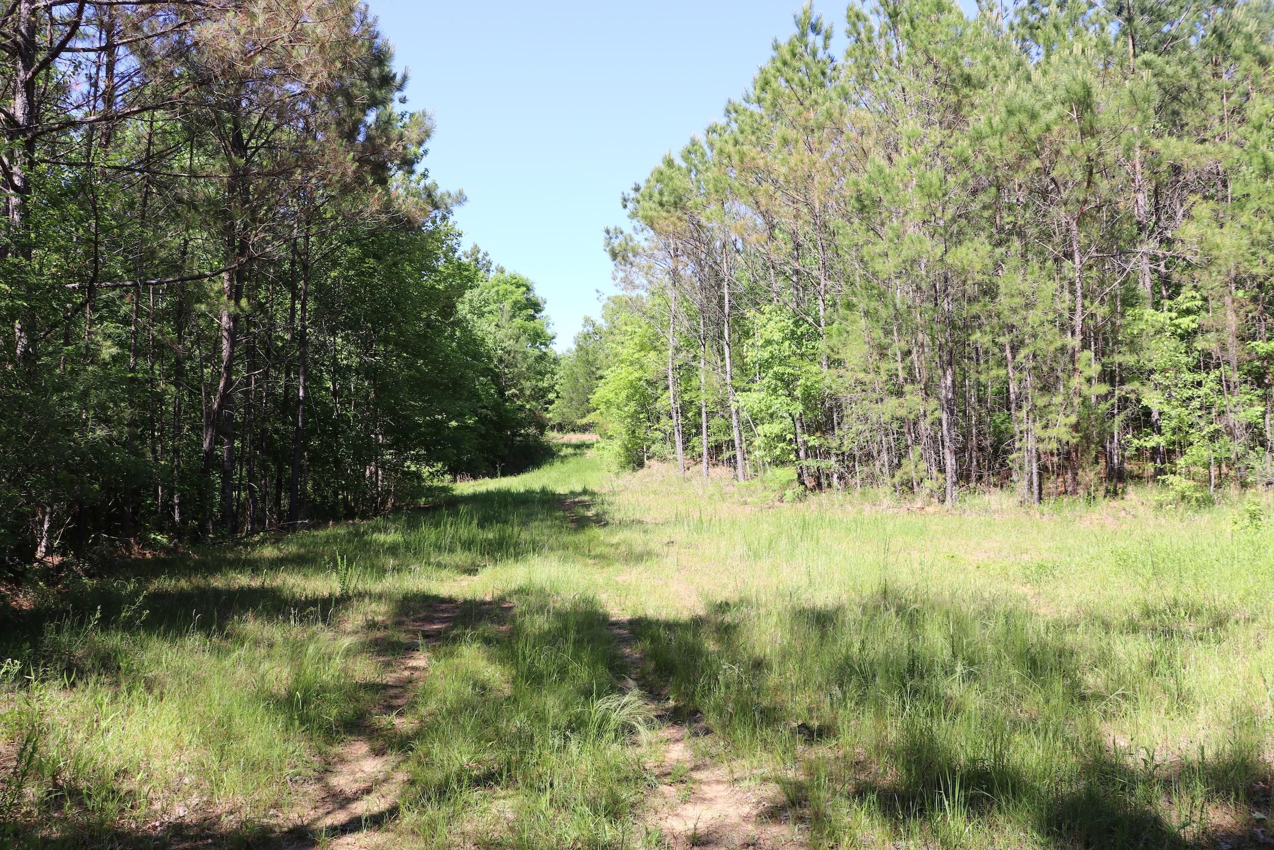Bellefontaine, ster County, MS Recreational Property, Timberland