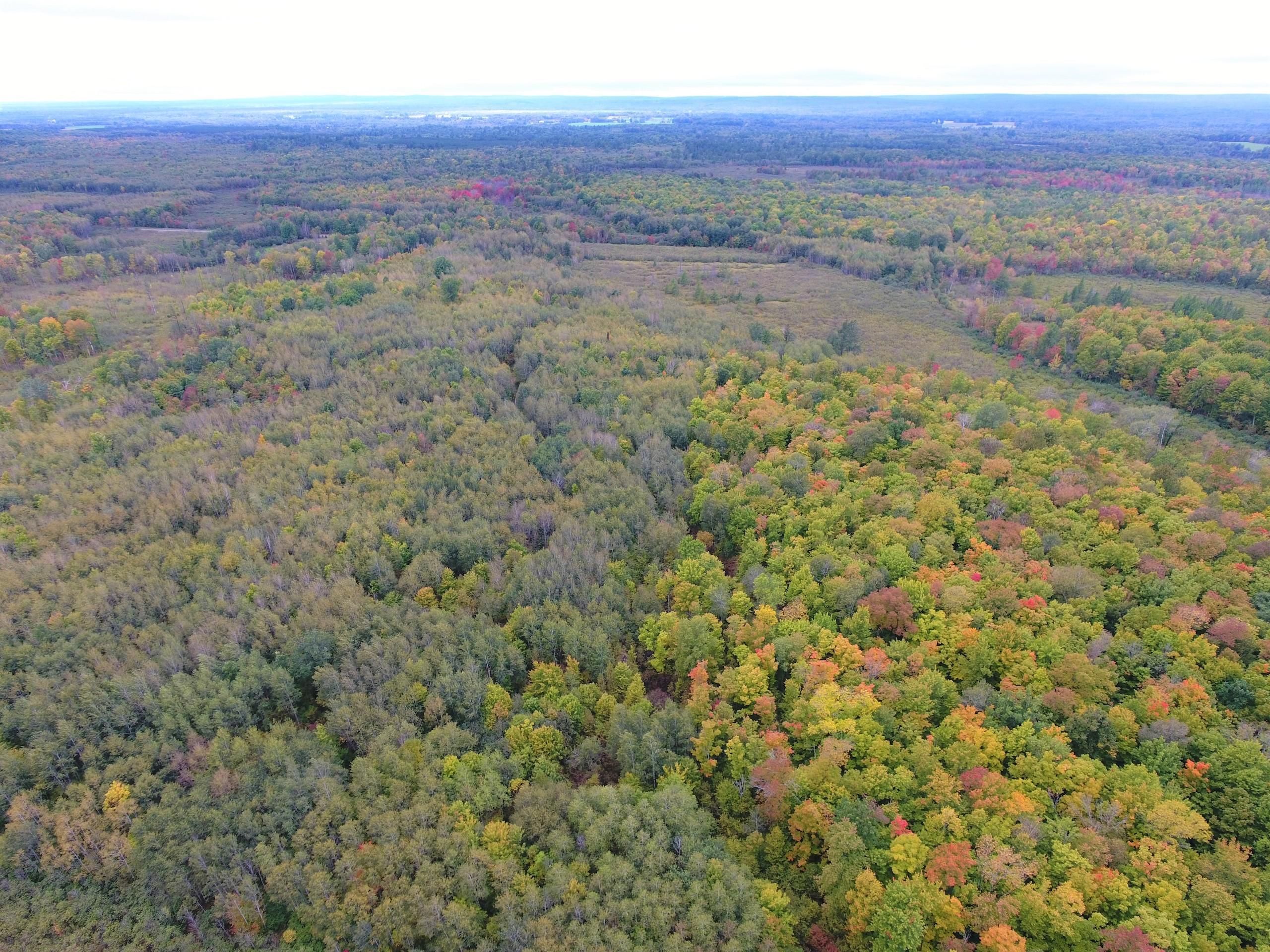 Ladysmith, Rusk County, WI Recreational Property, Hunting Property for