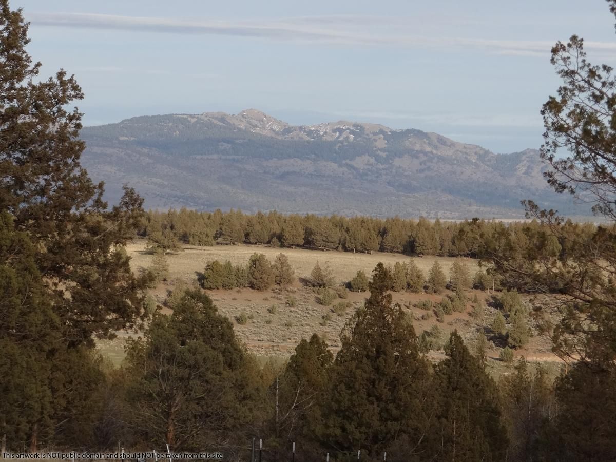 Alturas, Modoc County, CA Farms and Ranches, Hunting Property, Horse