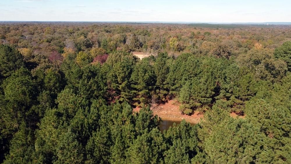 Antlers, Pushmataha County, OK Recreational Property, Timberland Property for sale Property ID