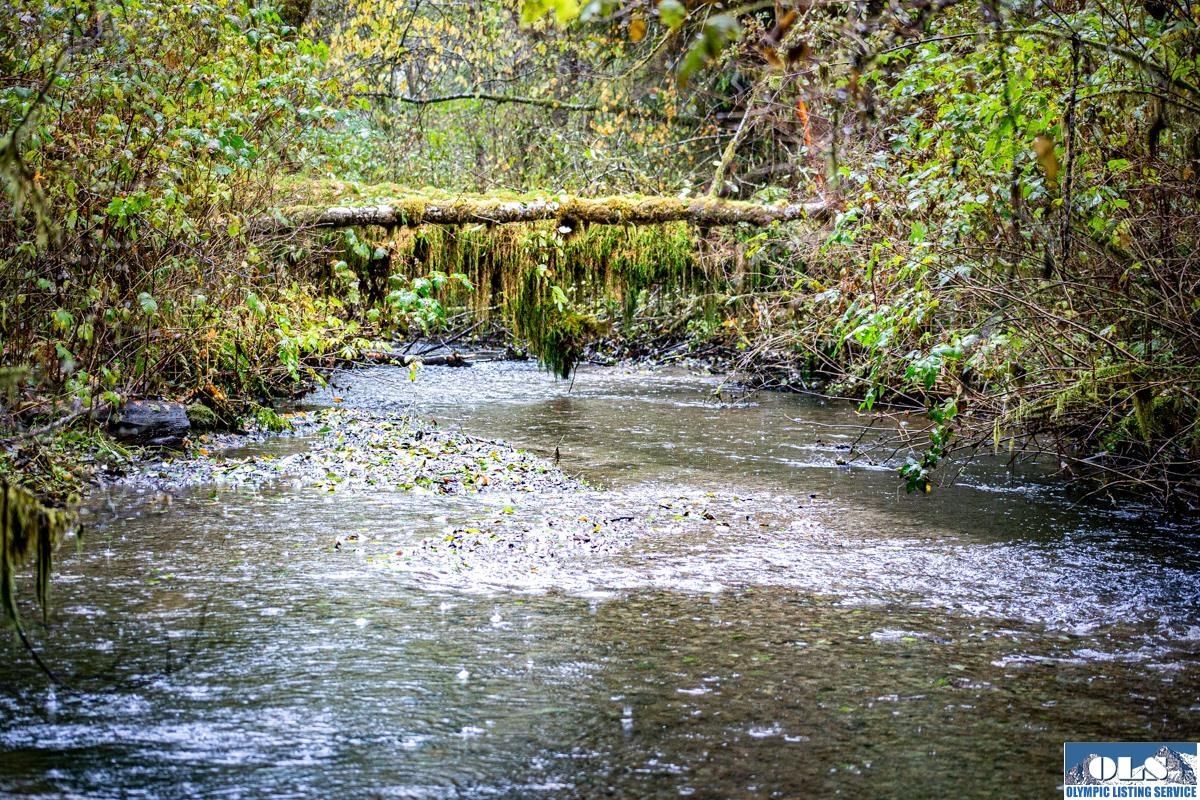 Forks, Clallam County, WA Undeveloped Land, Lakefront Property