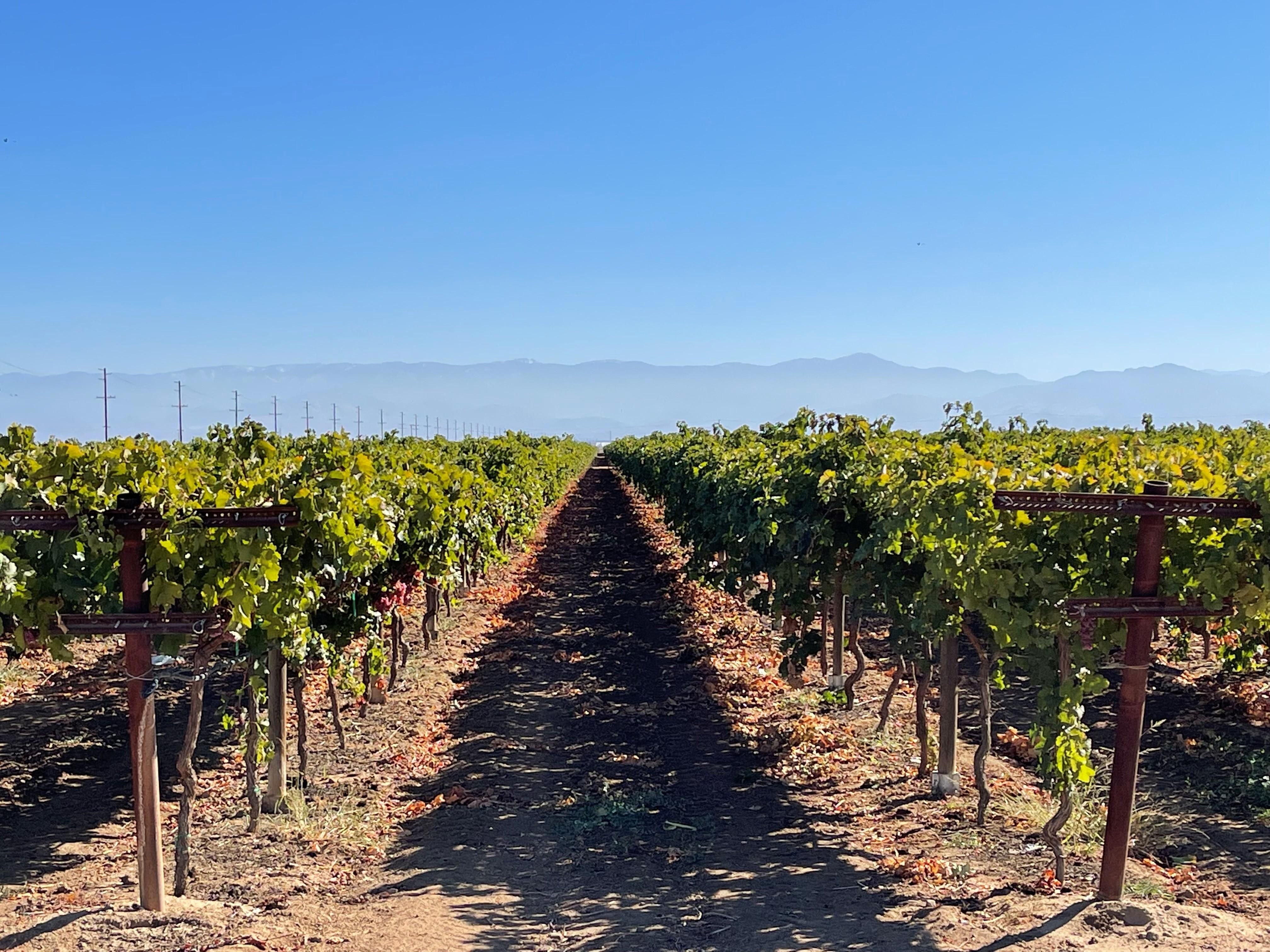 Delano, Kern County, CA Farms and Ranches for sale Property ID