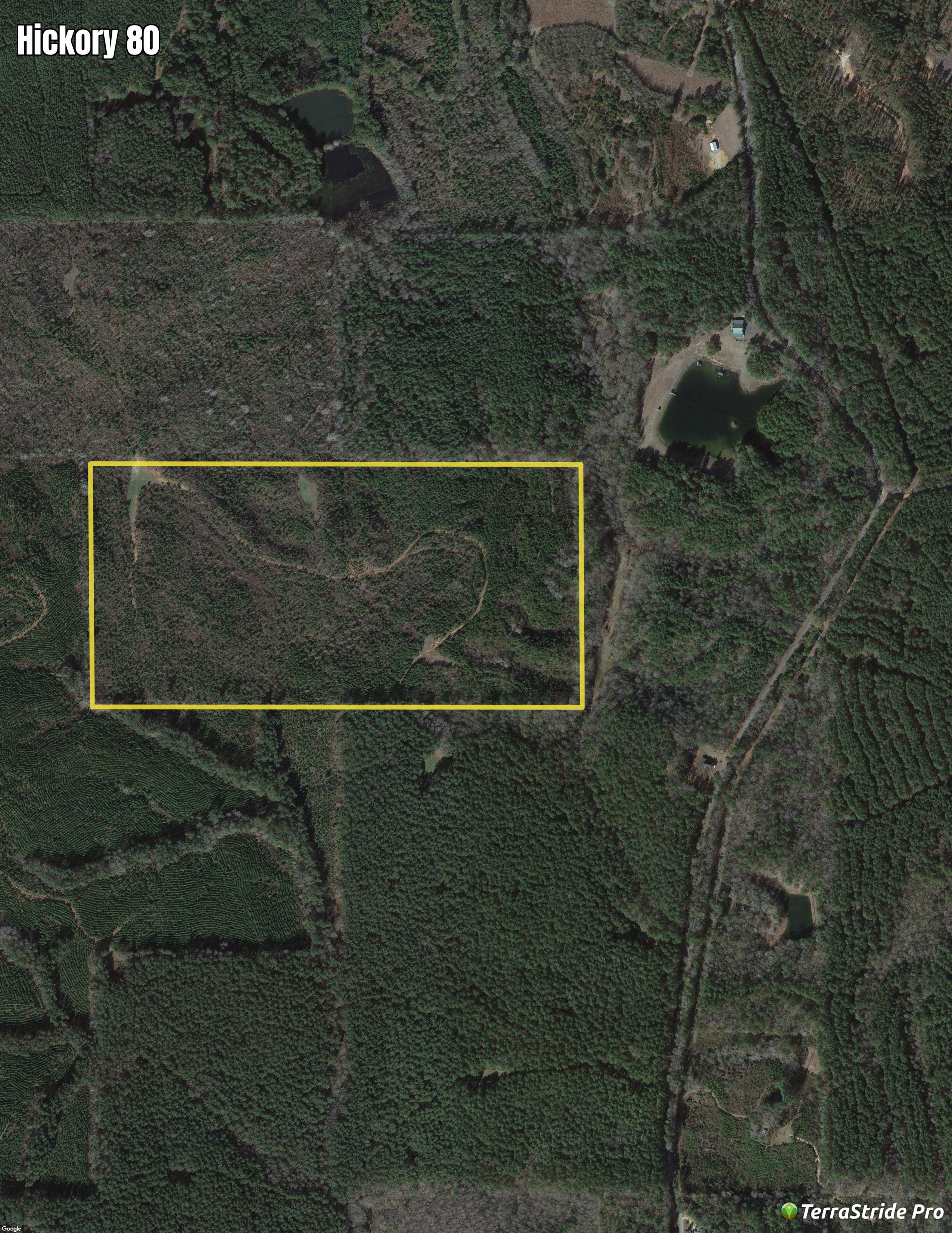 Hickory, Newton County, MS Timberland Property for sale Property ID