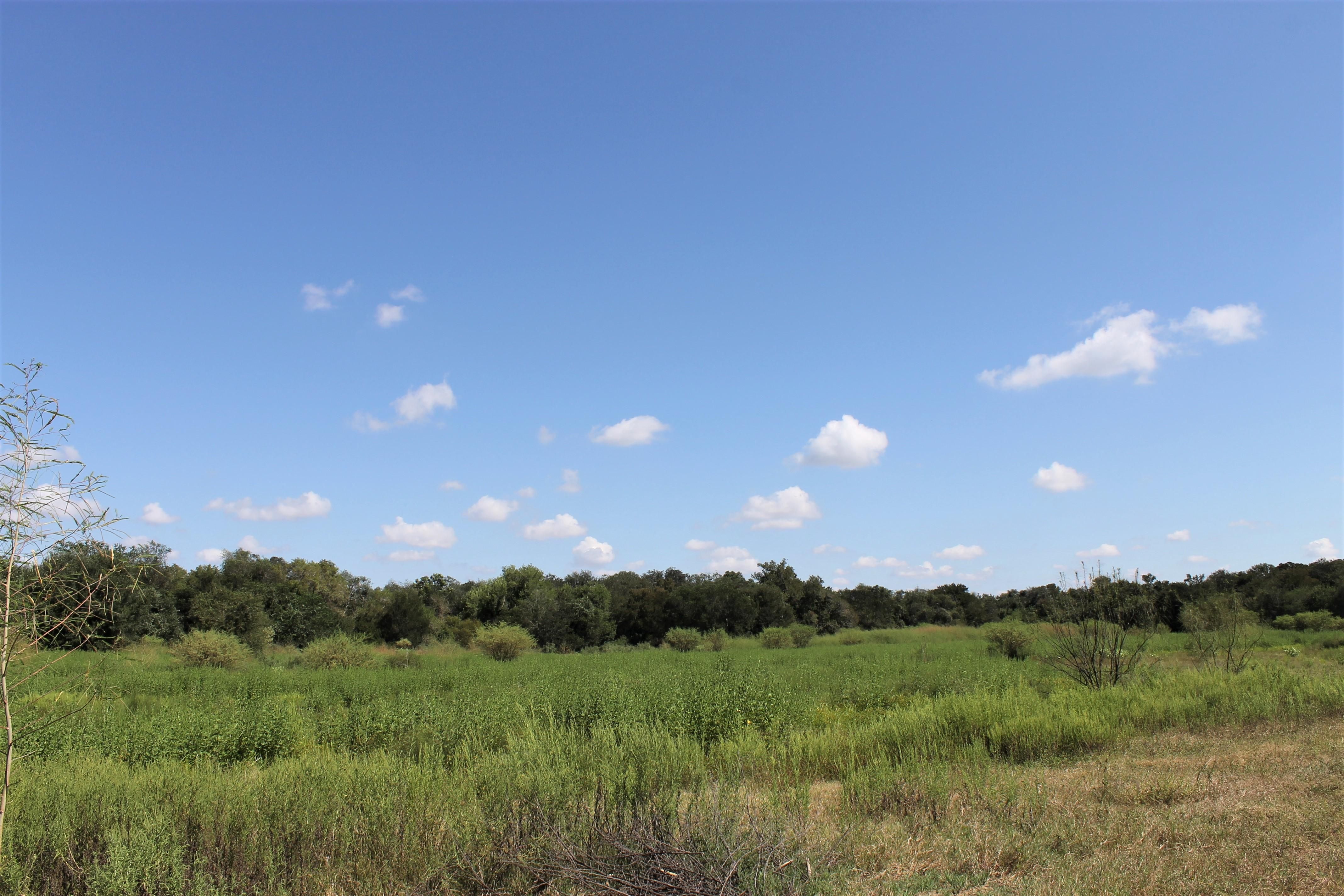 Pleasanton, Atascosa County, TX Farms and Ranches, Hunting Property for