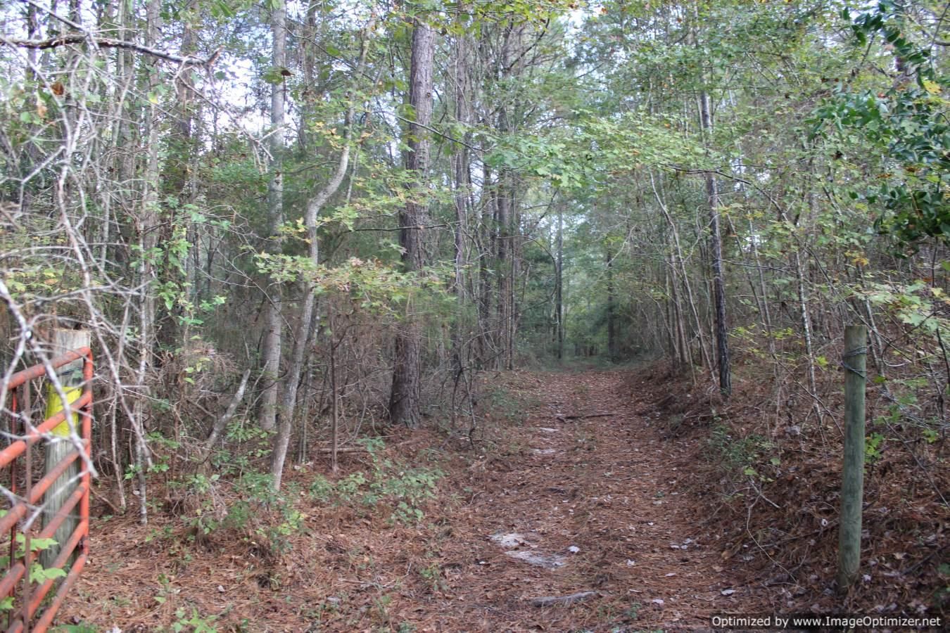 Rose Hill, Jasper County, MS Recreational Property, Timberland Property