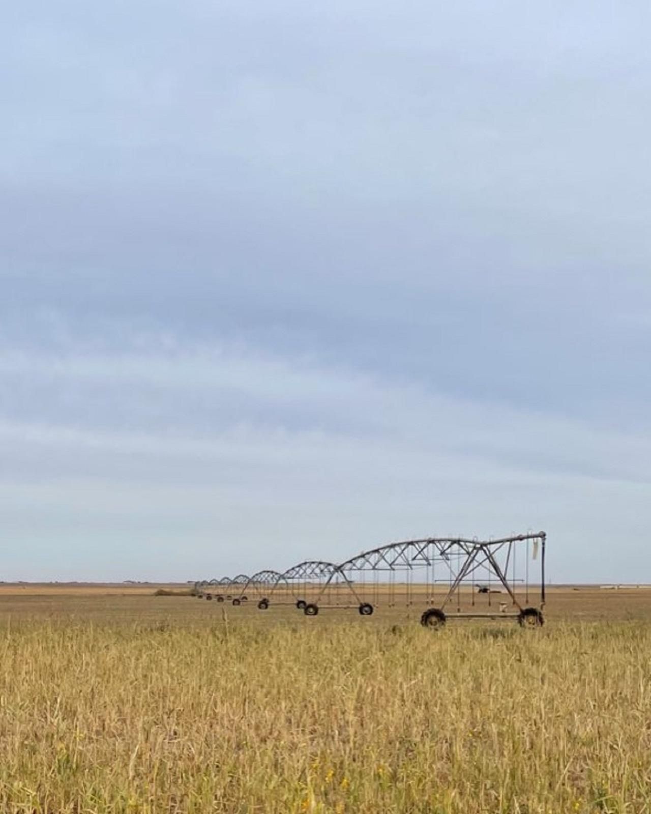 Tahoka, Lynn County, TX Farms and Ranches, Undeveloped Land for sale