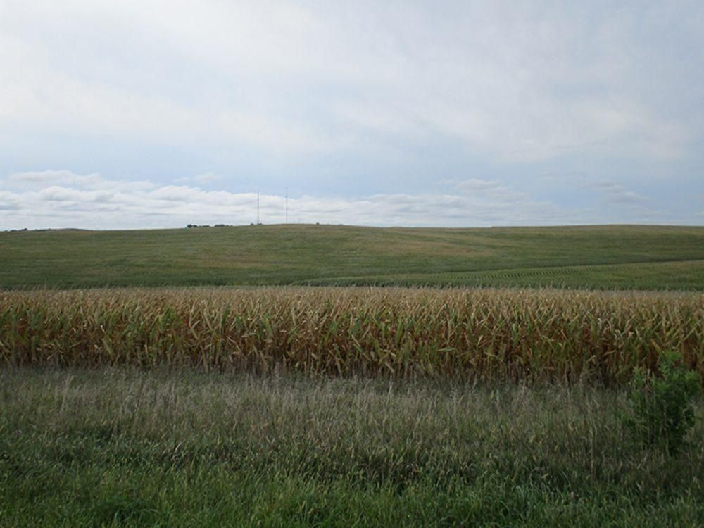 72.33 acres in Ida Grove, IA, LandWatch