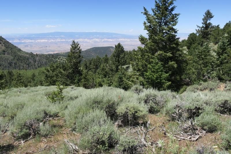 40 acres in Torrey, UT, 84775 LandWatch