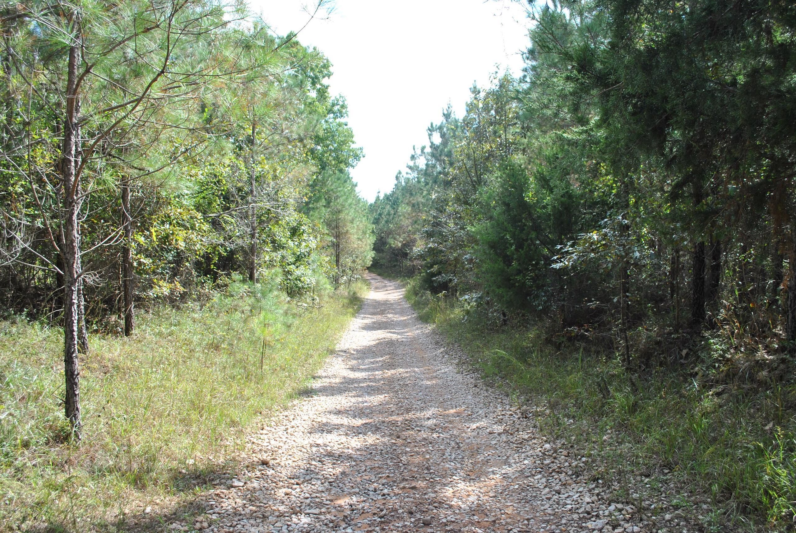 Hamilton, Marion County, AL Recreational Property, Timberland Property