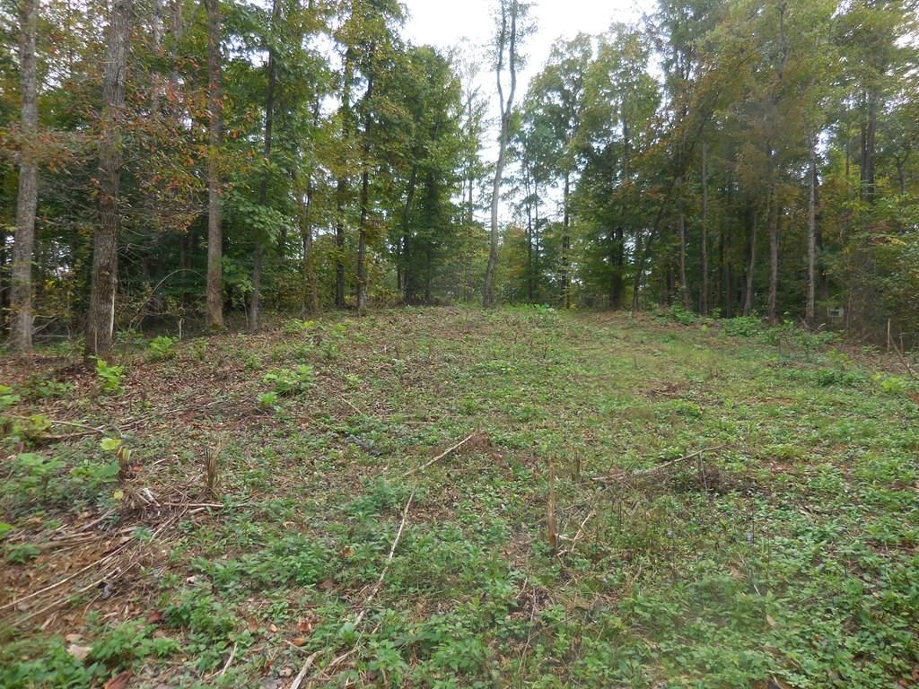 Whitleyville, Clay County, TN Farms and Ranches, Recreational Property for sale Property ID