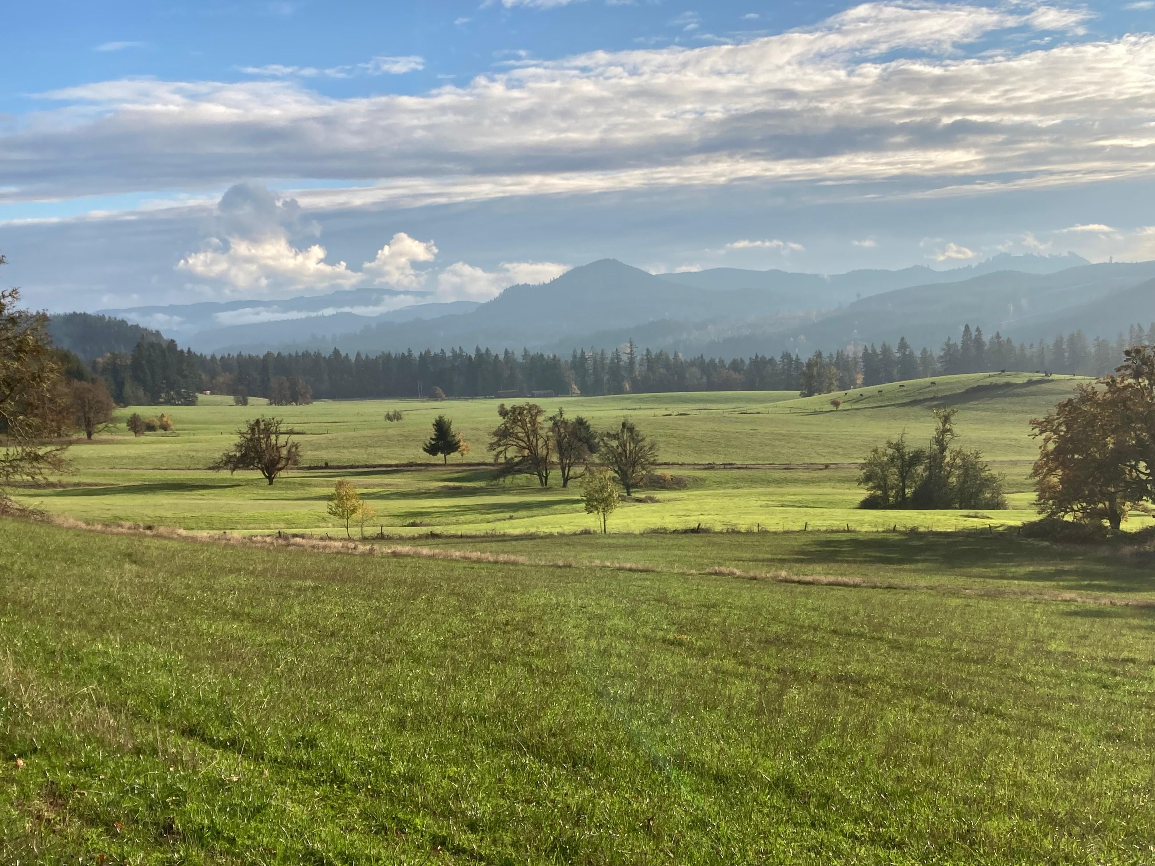 Cottage Grove, Lane County, OR Farms and Ranches, Timberland Property