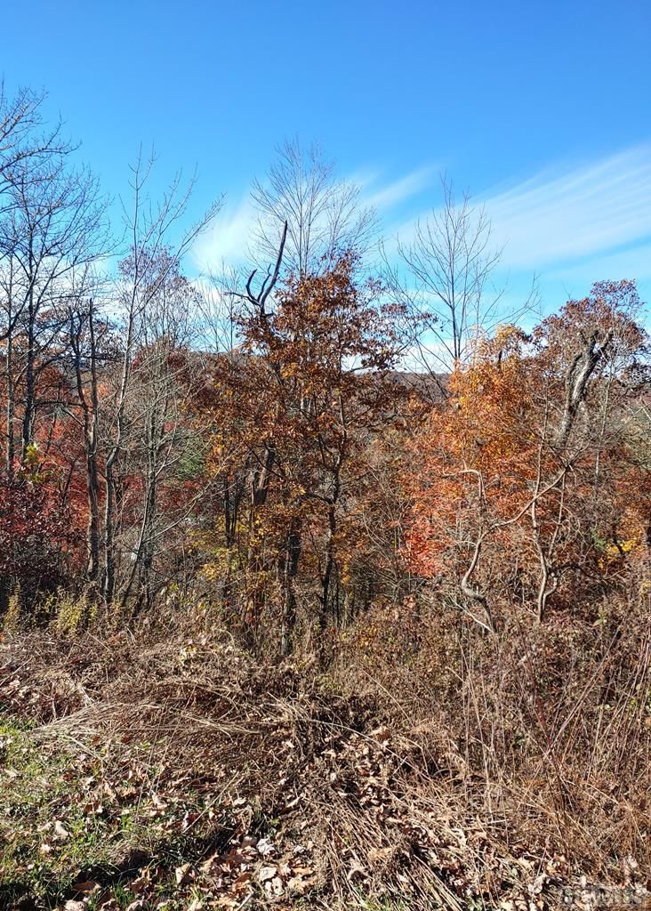 Cashiers, Jackson County, NC Undeveloped Land, Homesites for sale