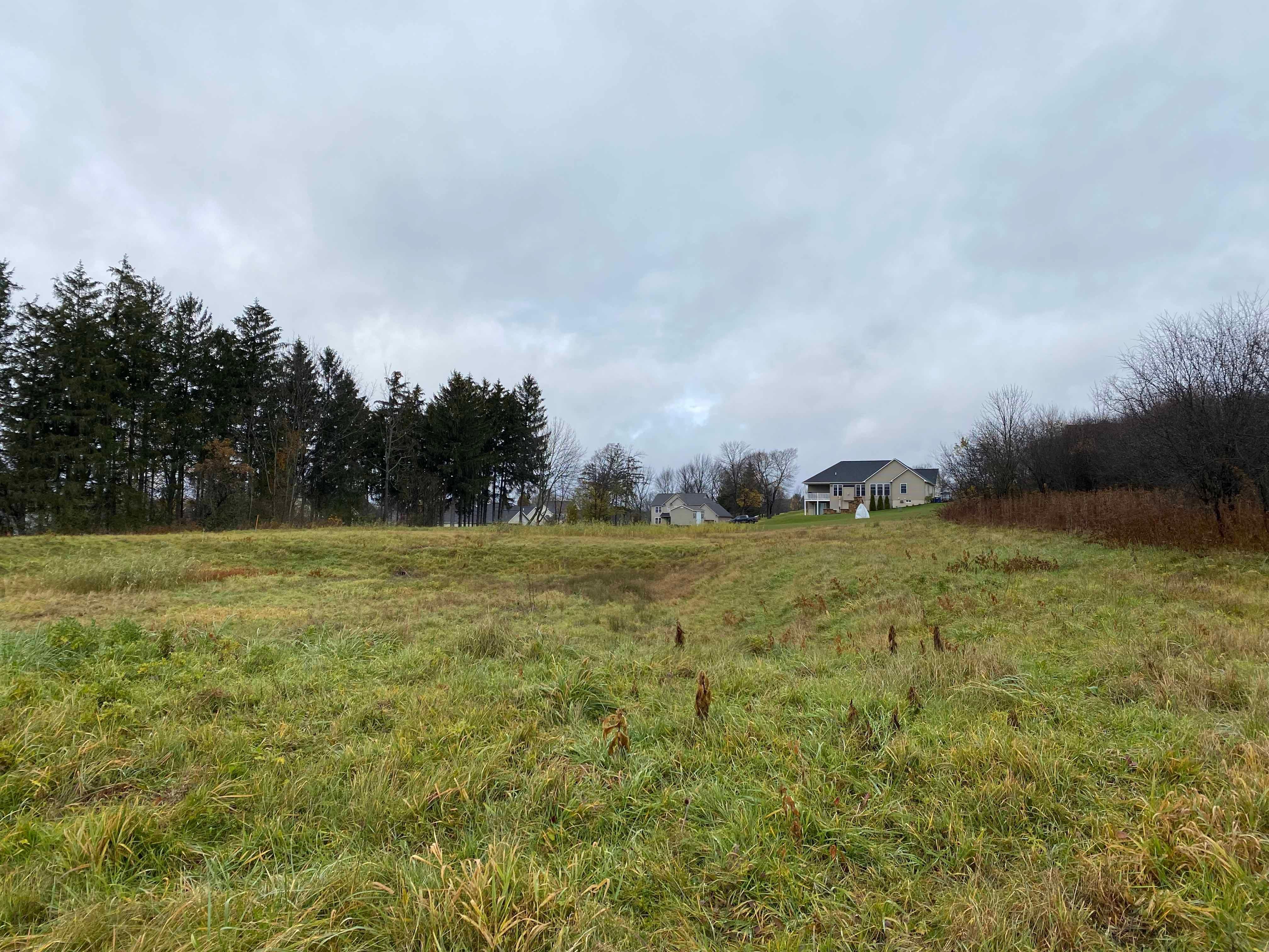 Cayuga County, NY Undeveloped Land for sale Property ID