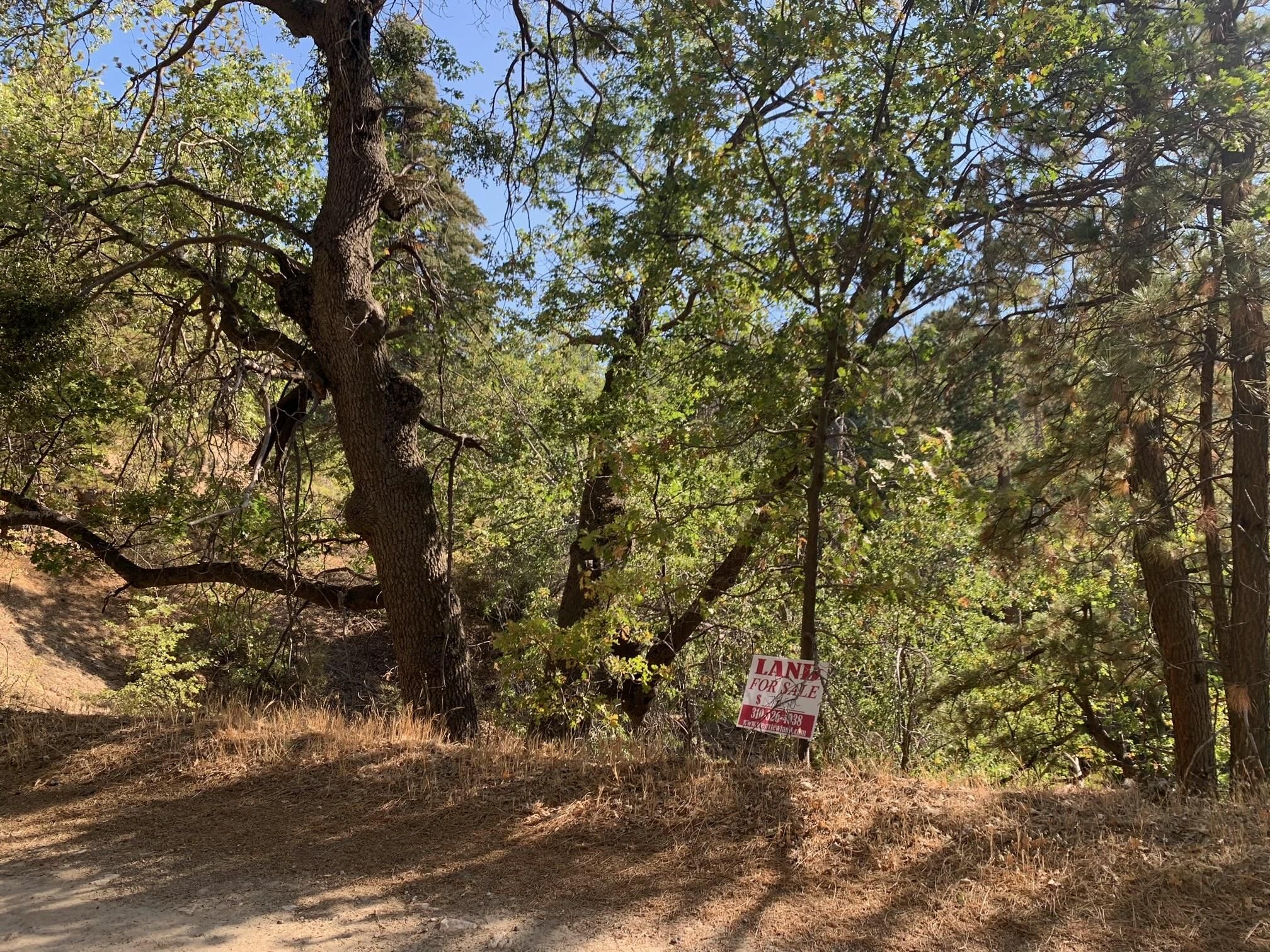 Cedar Glen, San Bernardino County, CA Undeveloped Land, Homesites for sale Property ID