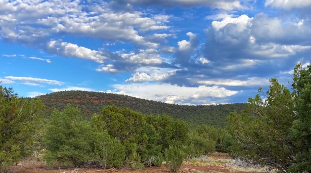 Vernon, Apache County, AZ Recreational Property, Undeveloped Land