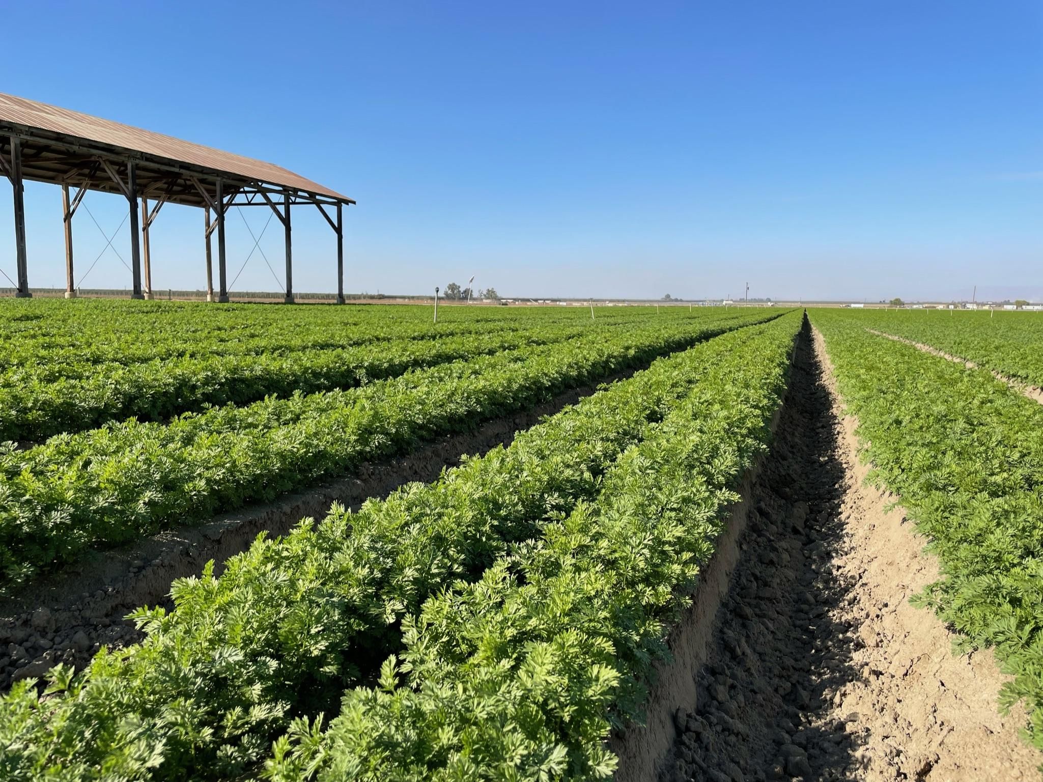 Arvin, Kern County, CA Farms and Ranches for sale Property ID