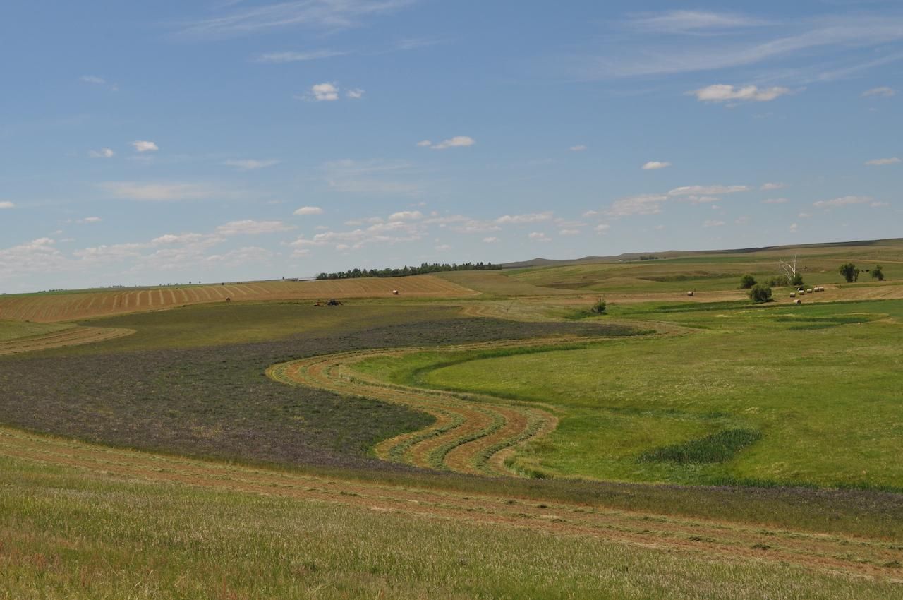 10579 156th Avenue, Lodgepole, SD 57640 LandWatch