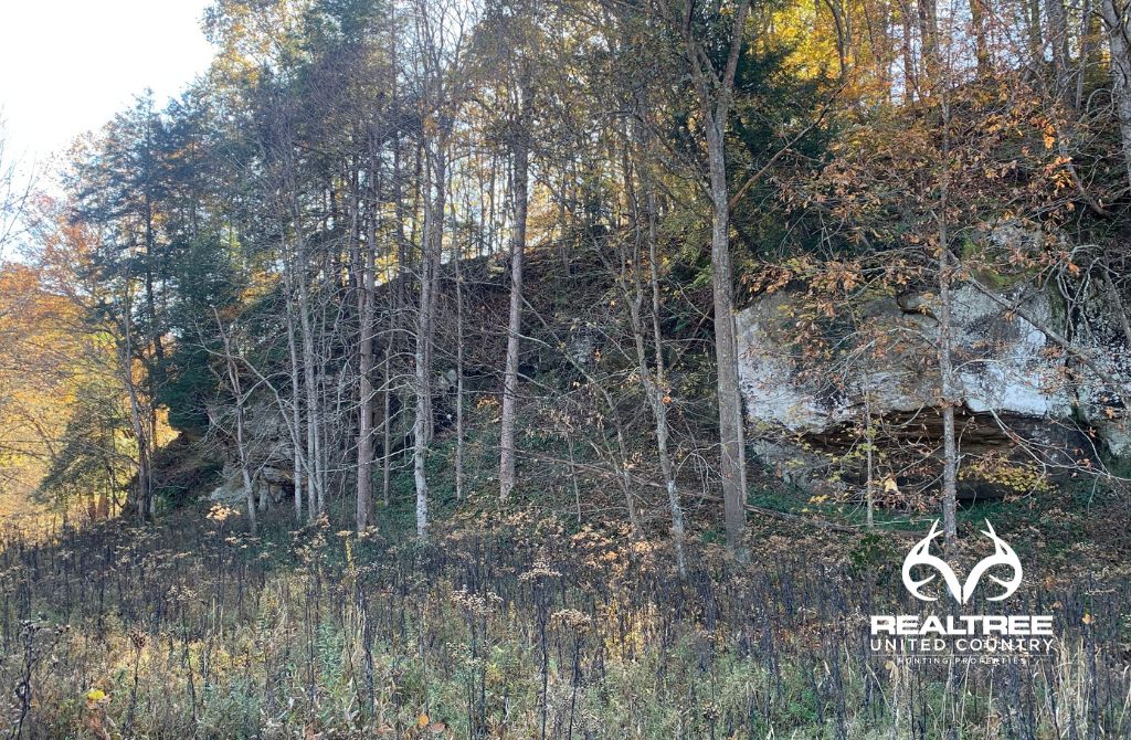 Albany, Vinton County, OH Recreational Property, Hunting Property for