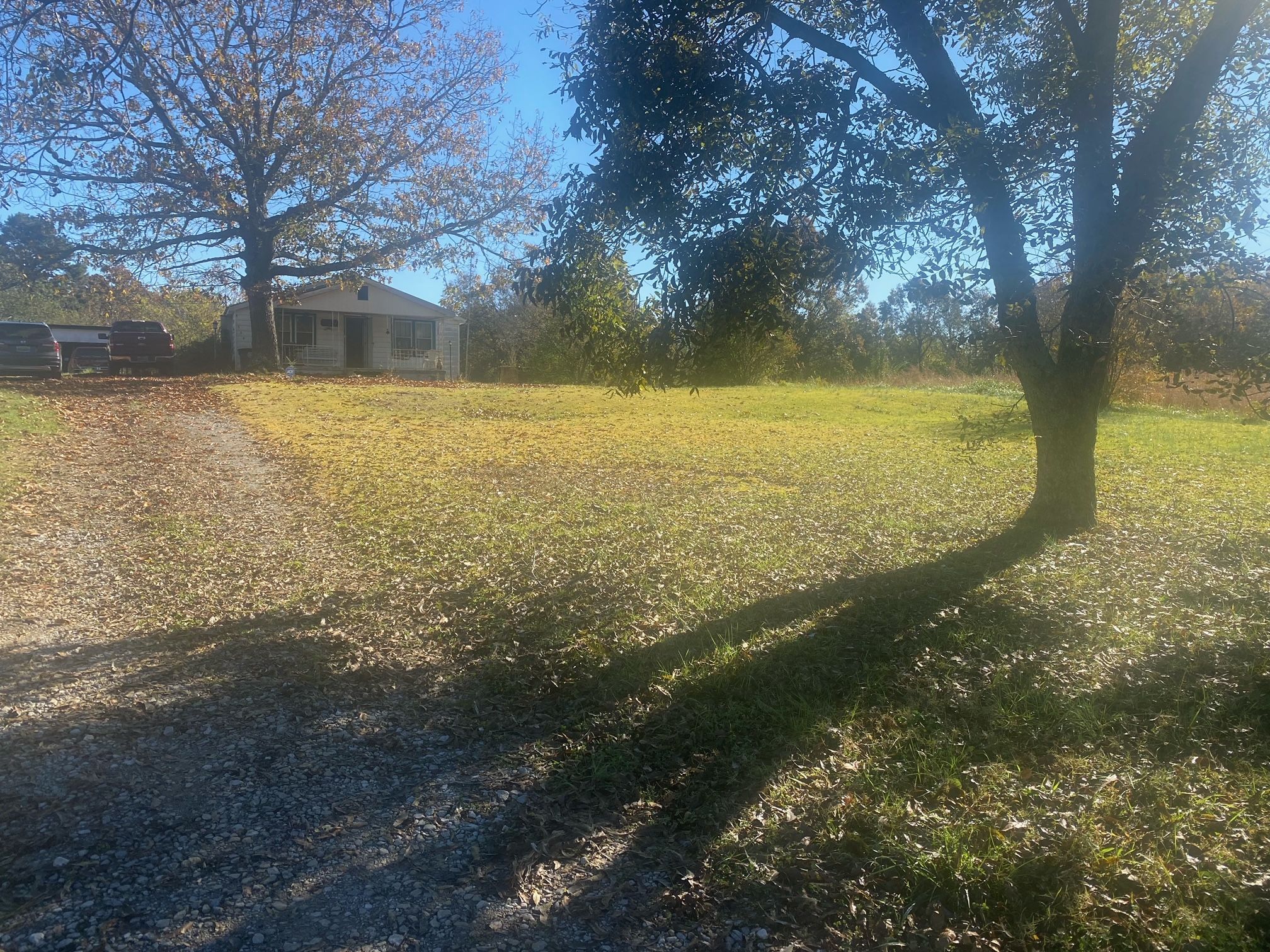 564 County Road 261, Town Creek, AL 35672 MLS 1795650 LandWatch