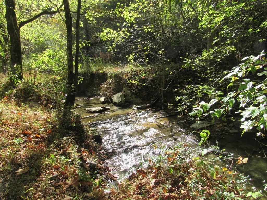 Bristol, Washington County, VA Recreational Property, Undeveloped Land