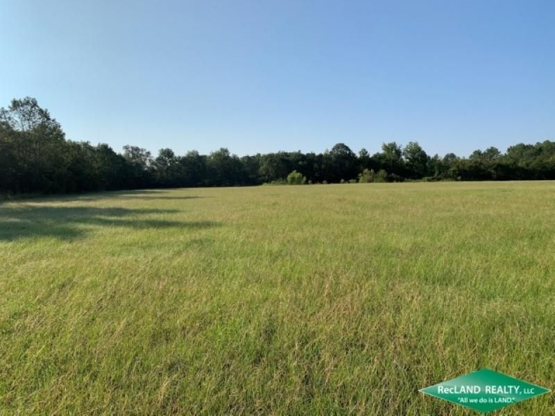 Liddieville, Franklin Parish, LA Farms and Ranches, Undeveloped Land