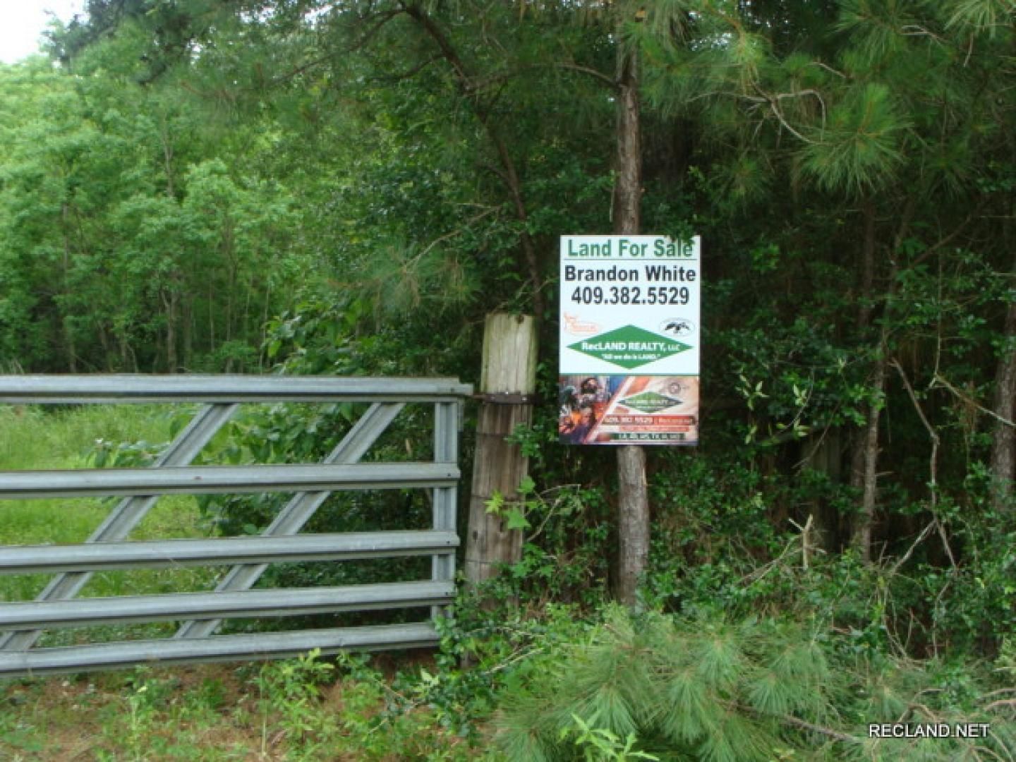 Kountze, Hardin County, TX Recreational Property, Timberland Property