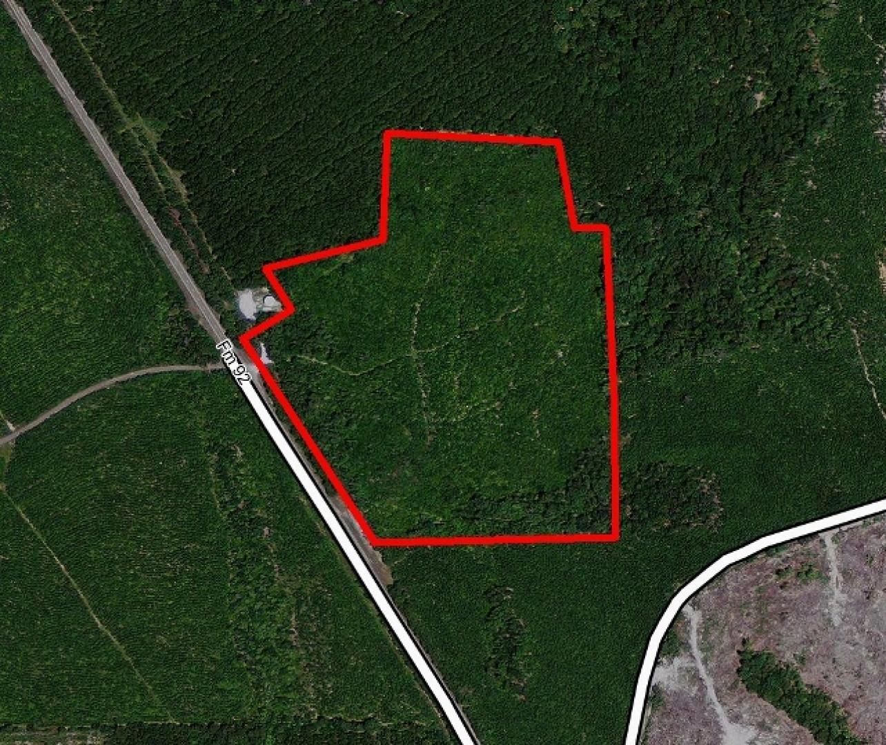 Spurger, Tyler County, TX Timberland Property, Undeveloped Land for