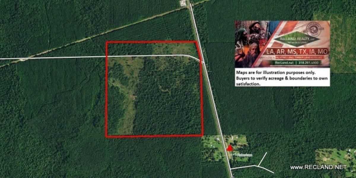 Buna, Jasper County, TX Farms and Ranches, Recreational Property, Hunting Property for sale