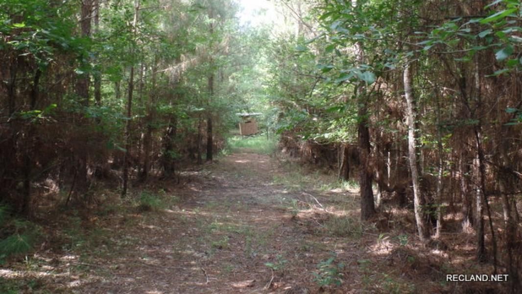 Jasper, Jasper County, TX Farms and Ranches, Recreational Property
