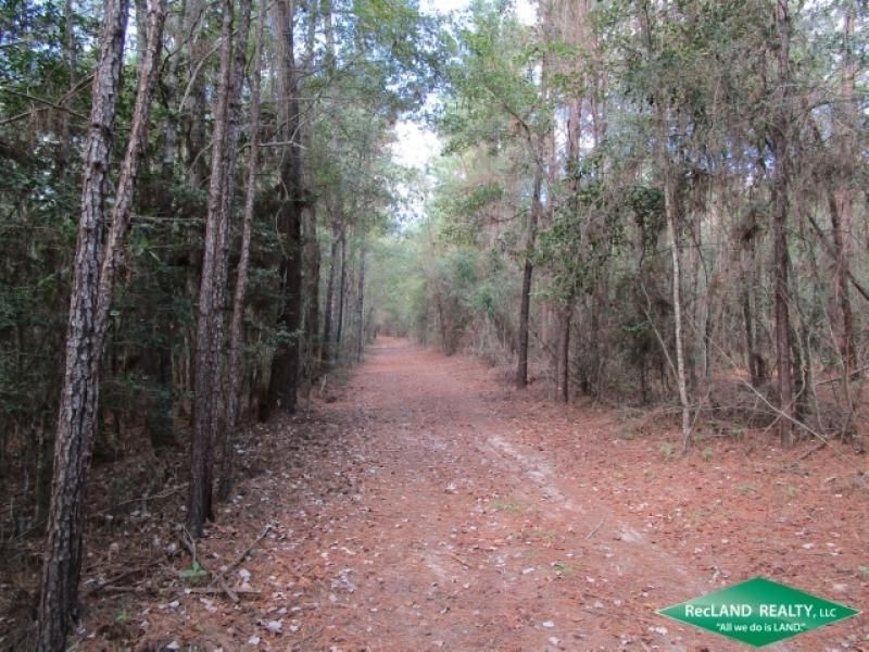 Jasper, Jasper County, TX Recreational Property, Timberland Property