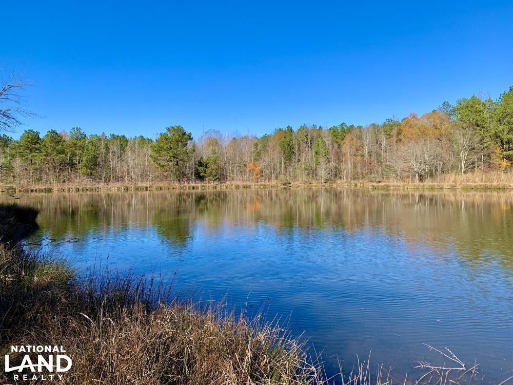 Carbon Hill, Walker County, AL Recreational Property, Undeveloped Land