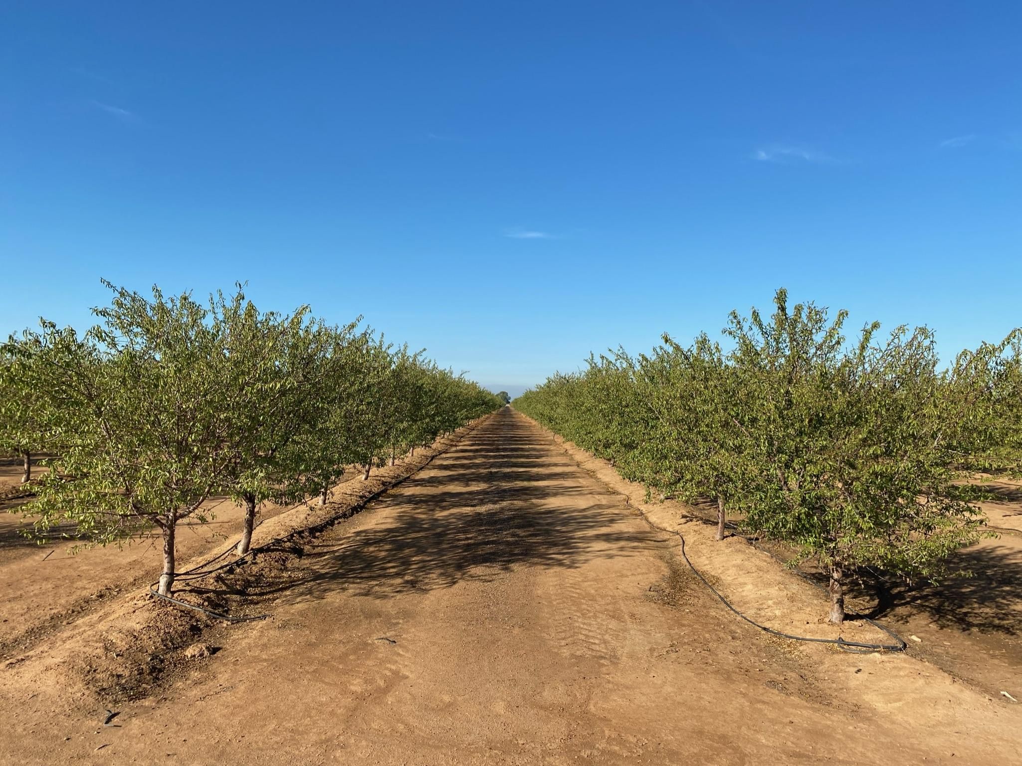 Chowchilla, Madera County, CA Farms and Ranches for sale Property ID