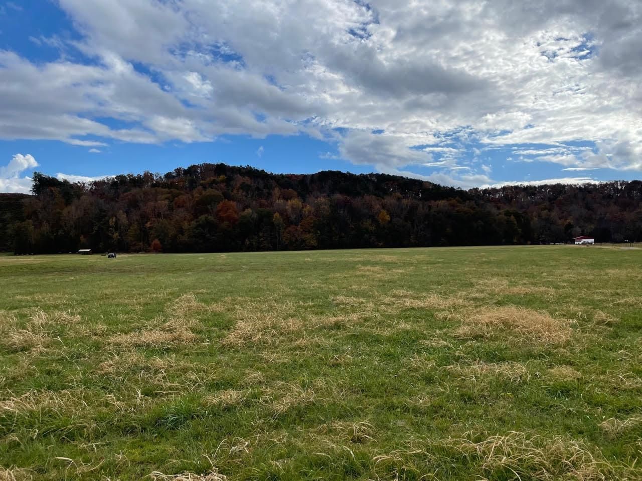 Cartersville, Bartow County, GA Undeveloped Land for sale Property ID