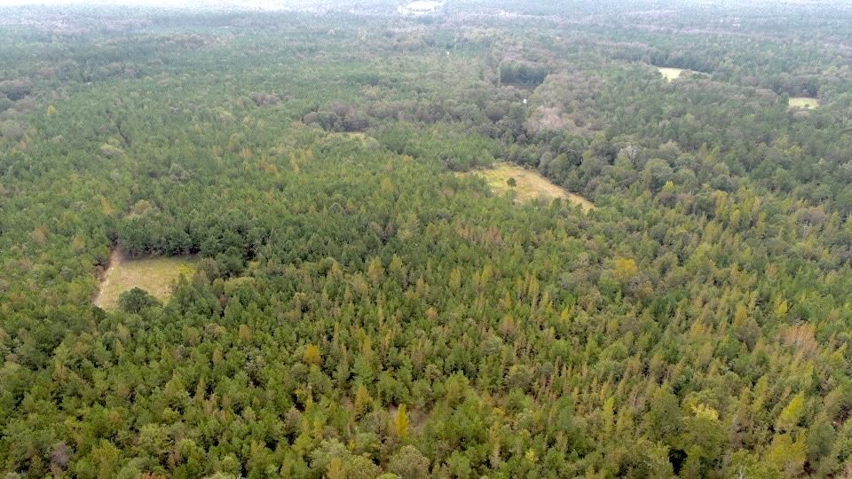 Butler, Taylor County, GA Recreational Property, Hunting Property for