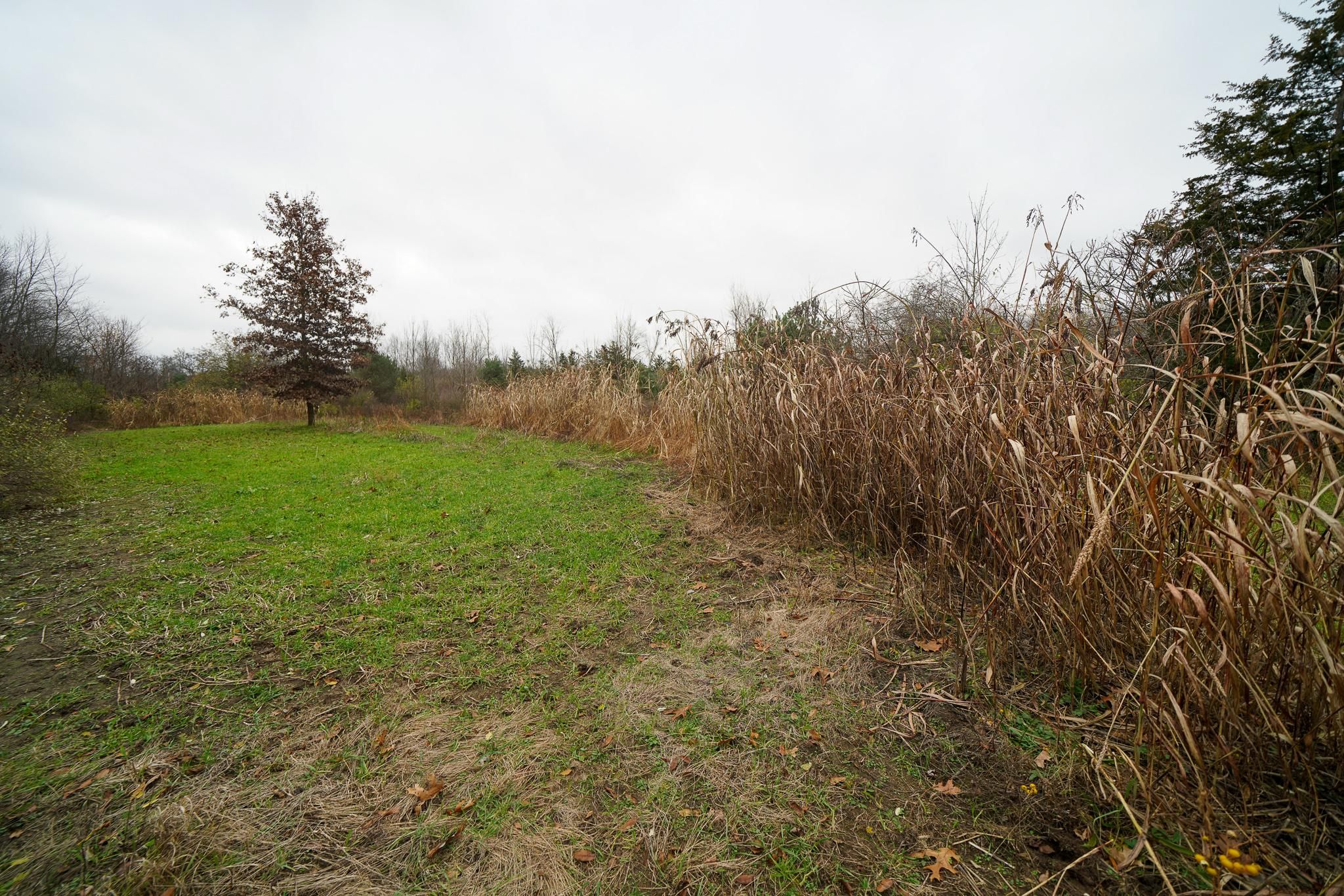 Lawton, Van Buren County, MI Recreational Property, Timberland Property, Hunting Property